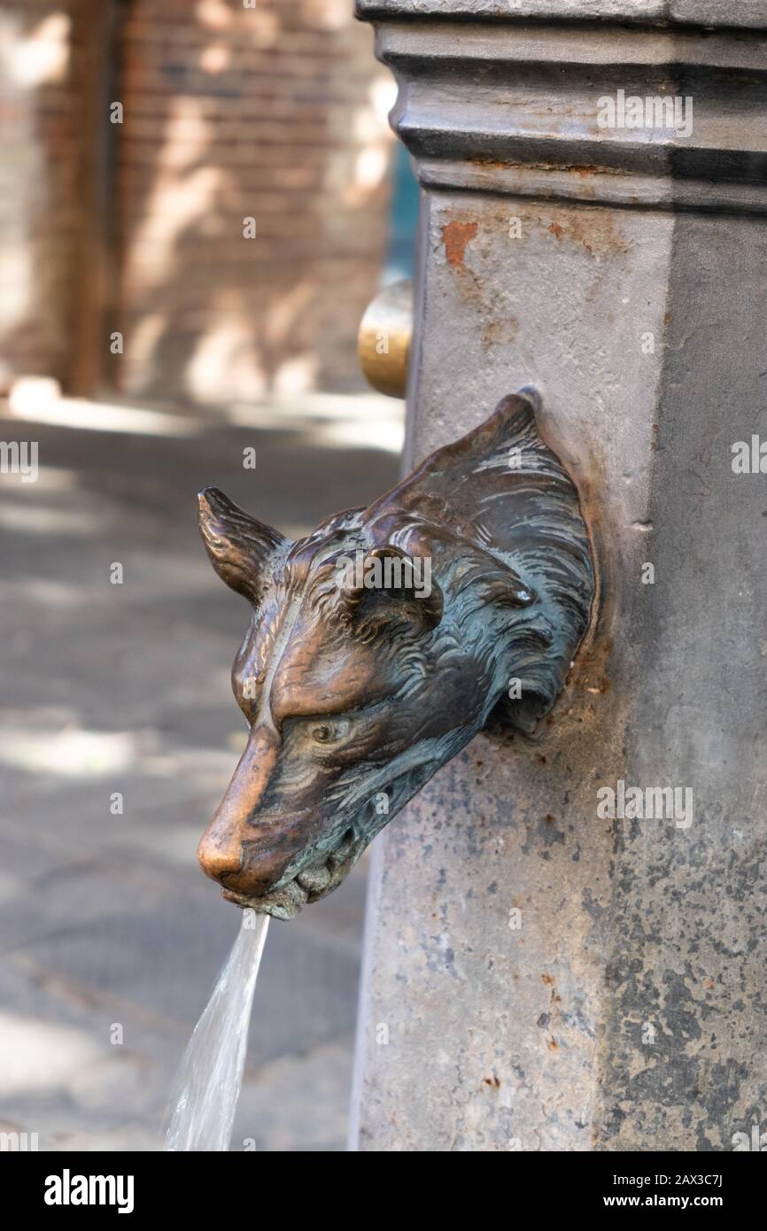 Fox-Kopf-Wasserbrunnen Siena, Toskana, Italien Stockfoto