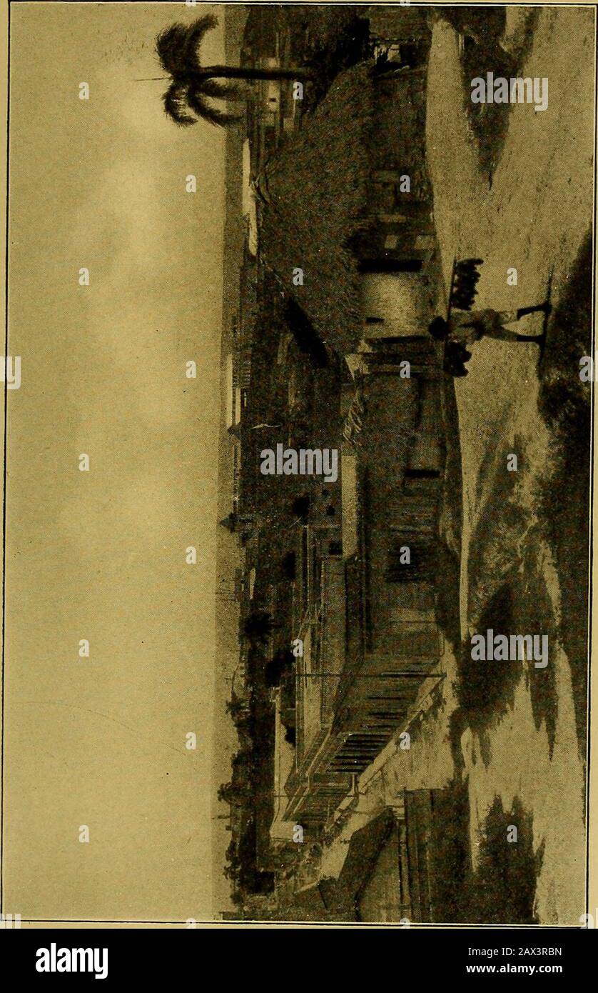 Kuba und ihr Volk von heute: Ein Bericht über die Geschichte und den Fortschritt der Insel vor ihrer Unabhängigkeit, eine Beschreibung ihrer körperlichen Merkmale, eine Studie über ihre Bevölkerung und insbesondere eine Untersuchung ihrer derzeitigen politischen Bedingungen, ihrer Industrien, natürlichen Ressourcen und Perspektiven; Zusammen mit Informationen und Vorschlägen, die dem potenziellen Investor oder dem Ansiedler helfen sollen, werden die Bahnanlagen jedoch zu überschaubar, um als Weidegelände genutzt zu werden. Theirsoil ist extrem reich und sie werden sich bald dem Anbau von Obst, Tabak und anderen Hochprimen widmen Stockfoto