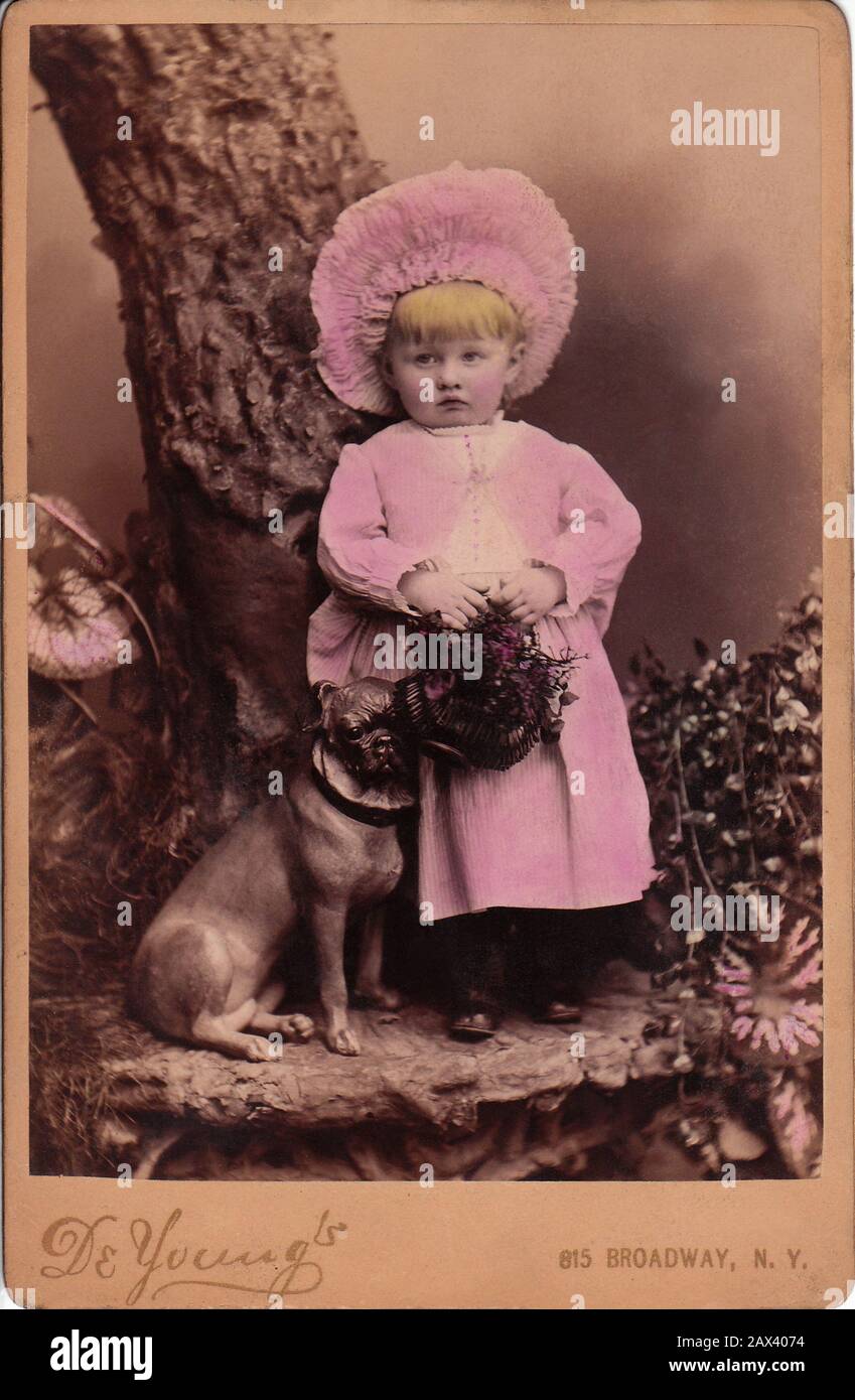 1890 Ca, New York, USA: Kleines Mädchen mit Motorhaube. Foto von De Young's NEW YORK - FOTO STORICHE - HISTORIENFOTOS - BAMBINA - KIND - BAMBINO - BAMBINI - BAMBINE - KINDER - CUFIA - HUT - CAPPELLO - TENEREZZA - ZÄRTLICH - KINDER - BAMBINA - BABY - OTTOCENTO - BELLE EPOQUE - MODE - MODA-INFANTILE - BABY - BÉ - Rosa Kleid - abito vestito rosa - Hund - Stock - Blumen - fiori - fiore - KINDHEIT - INFANZIA - Archivio GBB Stockfoto