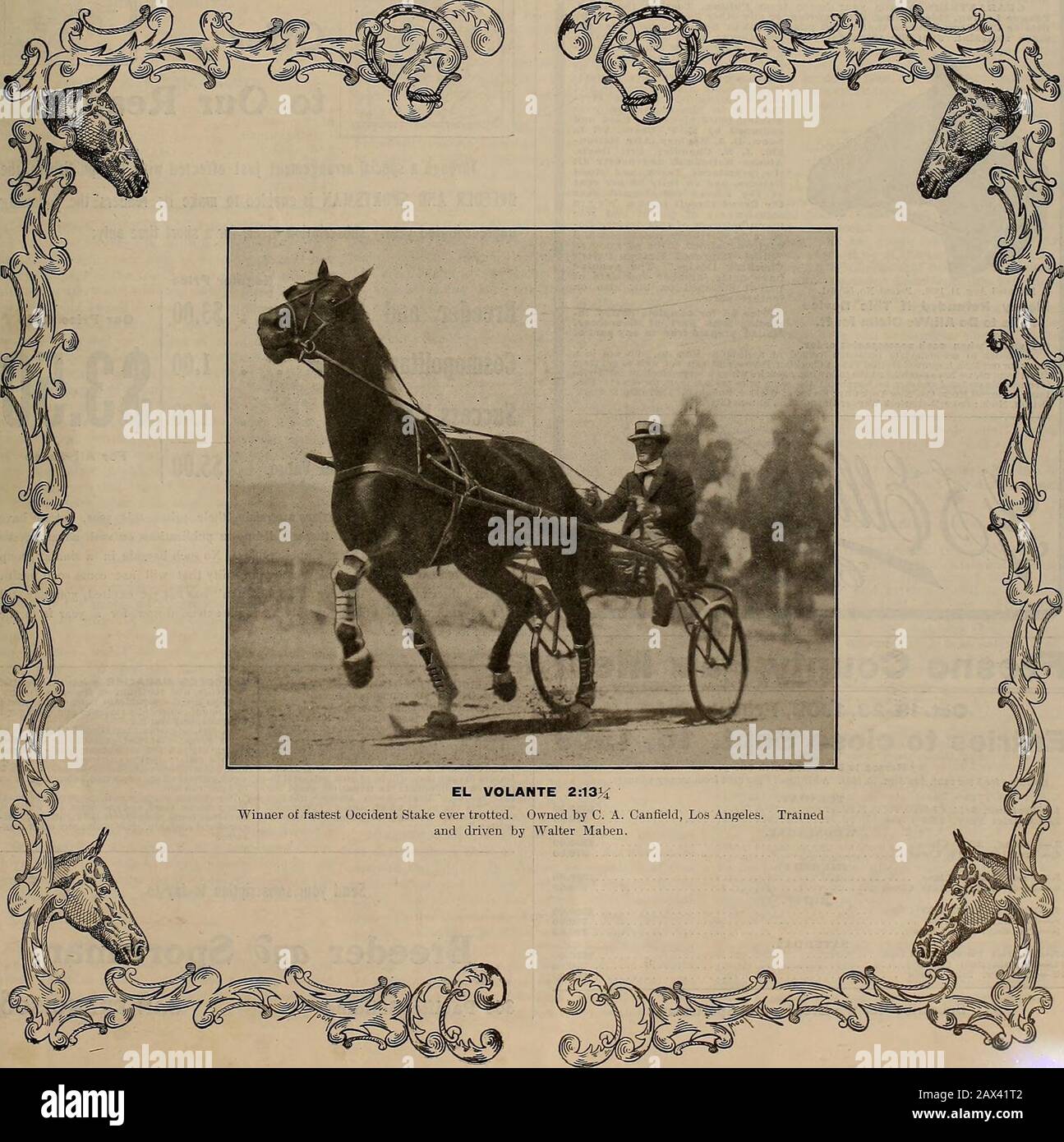 Züchter und Sportler . VOLUMEN LV. Nr. 10. SAN FRANCISCO, SAMSTAG, 4. SEPTEMBER, IM JAHR 1909. Abonnement - 3,00 Pro Jahr. Der ZÜCHTER UND SPORTLER [Samstag, 4. September 1909. Versichern Sie Ihren Live-Bestand IN DrANAANP OHIO Stockfoto