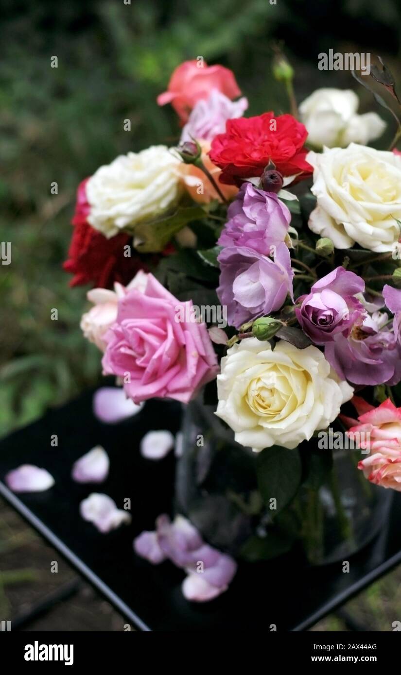Blumenstrauß verschiedenfarbiger Rosen in einer Glasvase auf einem dunklen Tisch mit gestürzten Kronblättern. Muttertag, Valentinstag, Internationale Frauen Stockfoto
