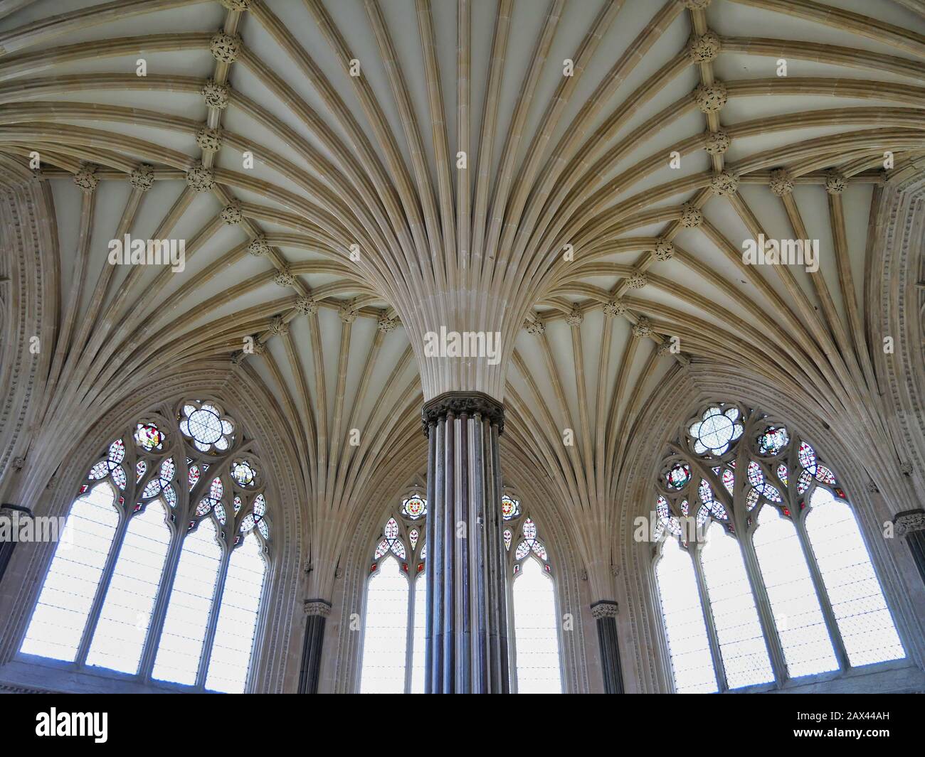 Die verzierte, gewölbte Decke des Kapitelhauses in der Wells Cathedral, Somerset, Großbritannien. Stockfoto