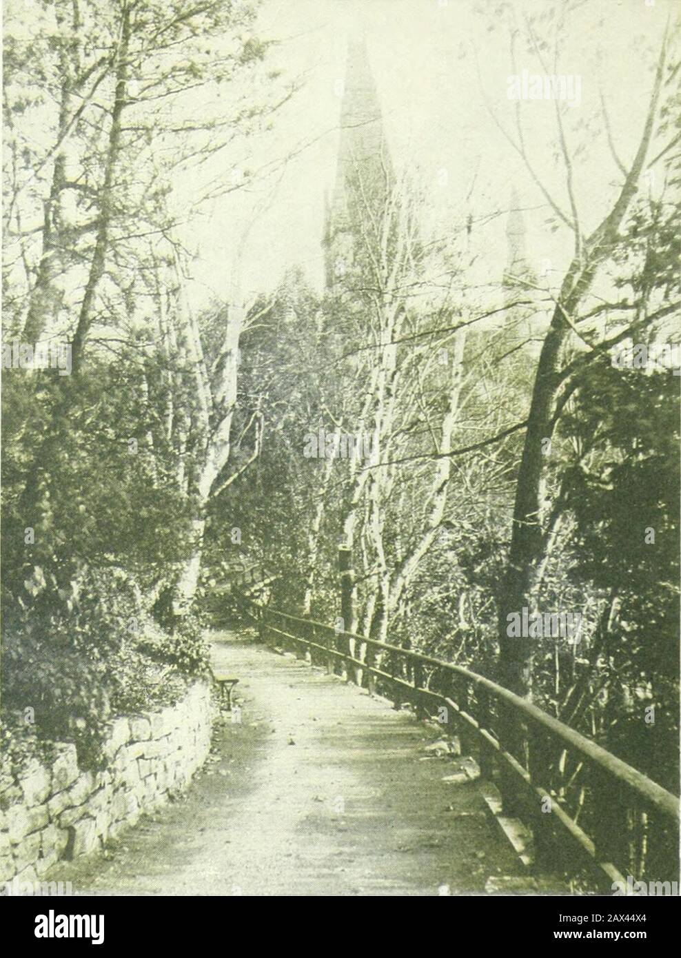 Die kanadische Zeitschrift für Politik, Wissenschaft, Kunst und Literatur, November 1910-April 1911 . das Haus ist unsession; ziemlich oft ein bevy offeminines out für ein noonday Mittagessen im Parlamentarischen Restaurant, ziemlich vergessen davon, wo ihre hus- 215 Bands sein mögen- Und natürlich sind die arbeitsreichen Herren immer bei den Mitschüssen im Vorschein! Nicht nur die Ehefrauen von Mitgliedern und wohlhabenderen Mitgliedern und Kabinettsministern, die Ehefrauen von Beamten, helfen, die glimpfliche Blütezeit von Femininelife in Ottawa zu erklimmen. Dies ist ein Merkmal, das in Kanada sonst nicht zu sehen ist. Eideau Hallmay ist der Thronsaal von societ Stockfoto