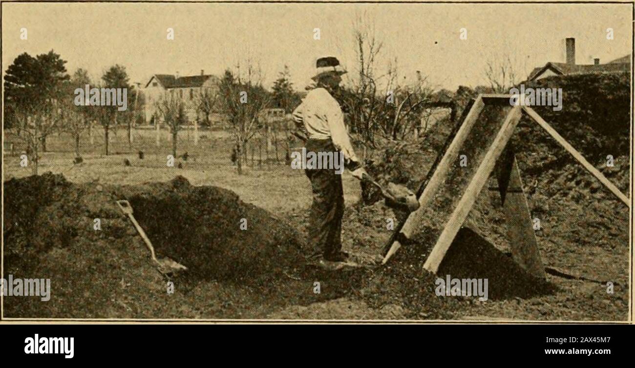 Gemüseanbau . nure. Dafür eignet sich ein reiches Gartenloam, wobei jedoch ein richtig vorgeparkter, kompostierter Boden bevorzugt werden soll. Letztere besteht aus 69 HEISSEN BETTEN, indem sie abwechselnd Schichten, 8 bis 10 Zoll in der Tiefe, von Bluegrass-Mod und Barnyard-Mist anhäufen, sechs bis acht Monate vor der Zeit, in der der Boden benötigt wird. In dieser Zeit zerfallen Thesod und Gülle und das Ergebnis ist ein reiches, kühlbares Seifenlauge, das hervorragende körperliche Bedingungen für Heißarbeiten bietet. Wenn das Material grob ist, wird es durch einen gröberen Bildschirm gelegt, um die rauen oder nicht verfallenen Teile zu entfernen, und wird in das Bett gelegt. Th Stockfoto