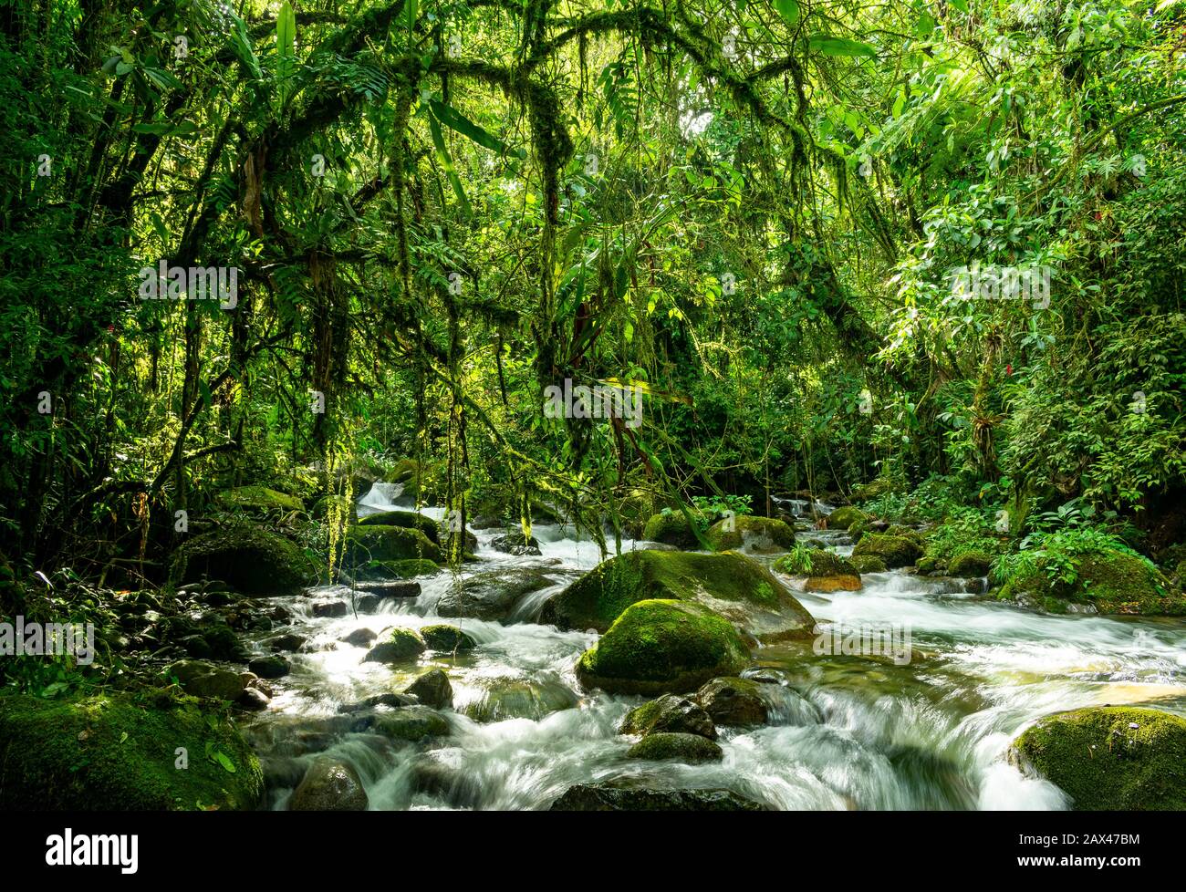 Wilder Fluss, der durch die Landschaft des Regenwaldes in Brasilien rudert Stockfoto