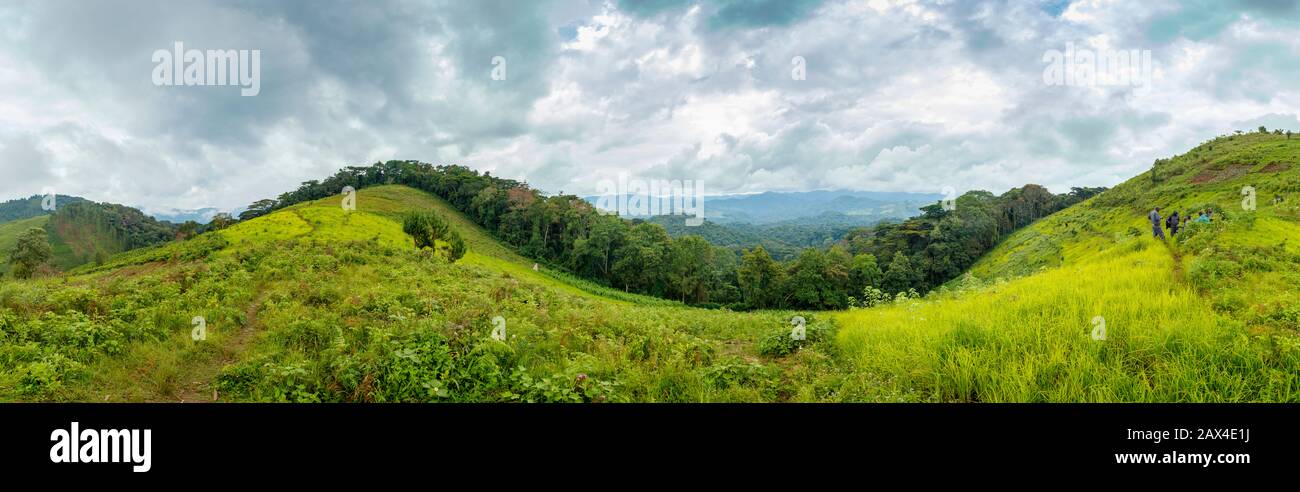 Panoramablick auf die Landschaft und die Felder im Undurchdringlichen Bwindi Forest, im Undurchdringlichen Bwindi National Park, im Distrikt Kanungu, in der Western Region, in Uganda Stockfoto