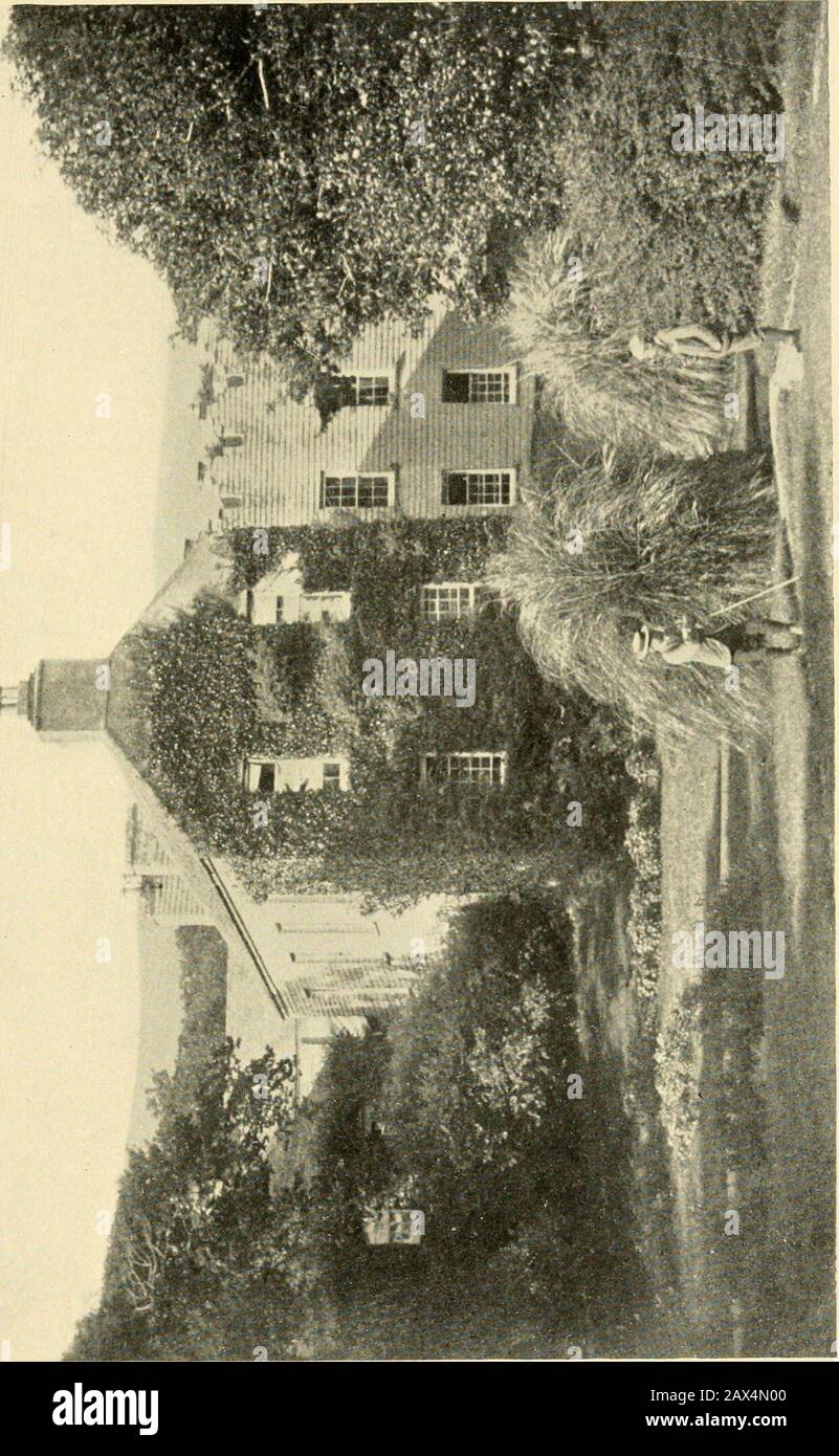 Daniel O'Connell und die Wiederbelebung des nationalen Lebens in Irland. , trennt ihn vom Hafen von Ballinskelligs. Verstreut auf ihr liegen die Ruinen der alten Abtei, die ihr Nameto der Httle Bucht und dem Haus selbst gibt, das Gräber vieler OConnells Vorfahren enthält. Um die Landschaft auf der Landseite zu verwirren - ein jumeliger Ofrock, der sich mit moorleden Bäumen abwechselt, exzeptfor ein kleines Gebüsch, das von OConnell selbst gepflanzt wurde, stellt eine ziemlich trostreiche Aussicht dar; OConnellit wurde jedoch von den hartumwerfenden Erinnerungen an die Kindheit und den Touristen, der die Troubleshosen nehmen wird, um Coomakis zu beenden Stockfoto