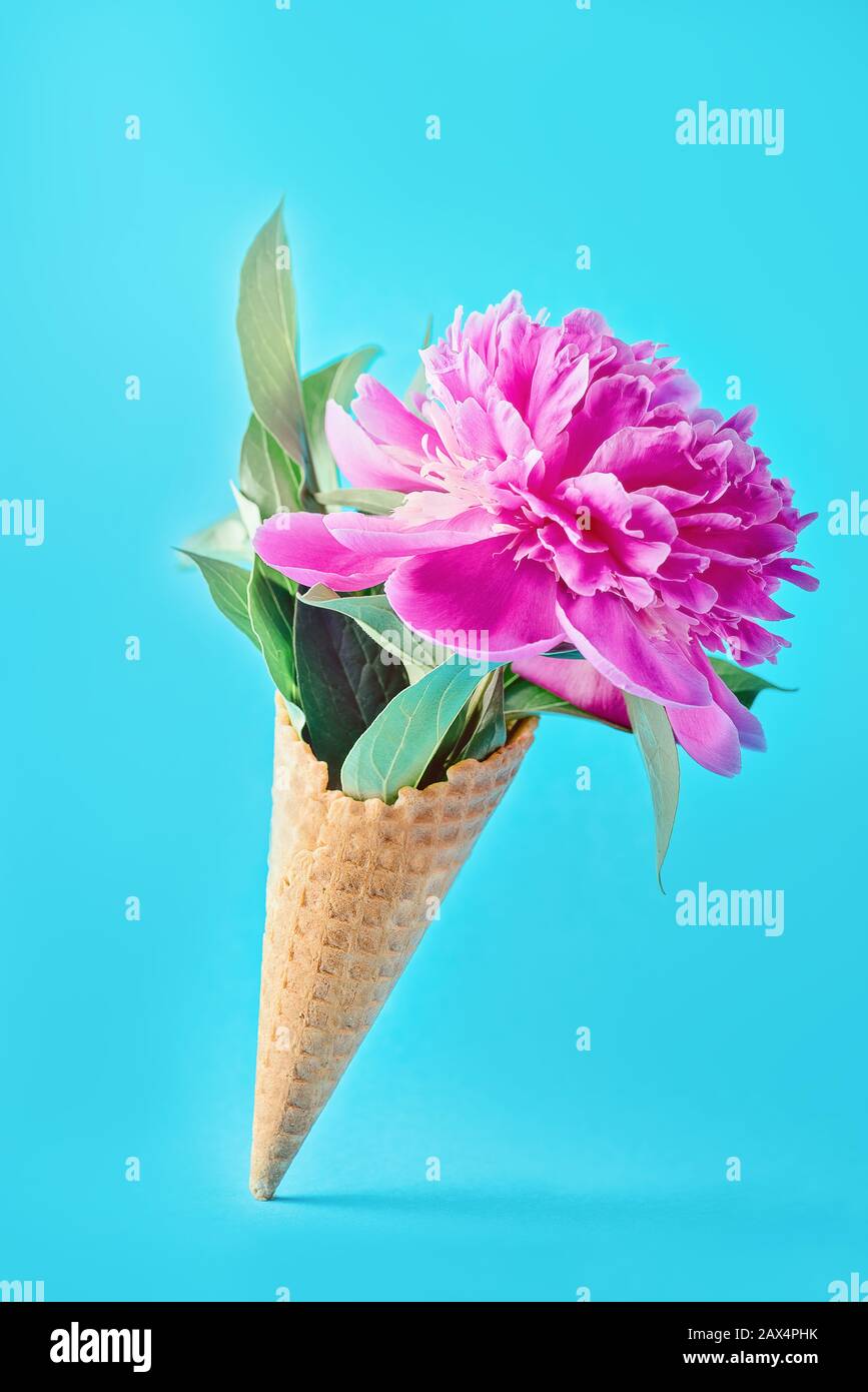 Blume und grünes Blatt in Waffelmais über blauem Hintergrund Stockfoto