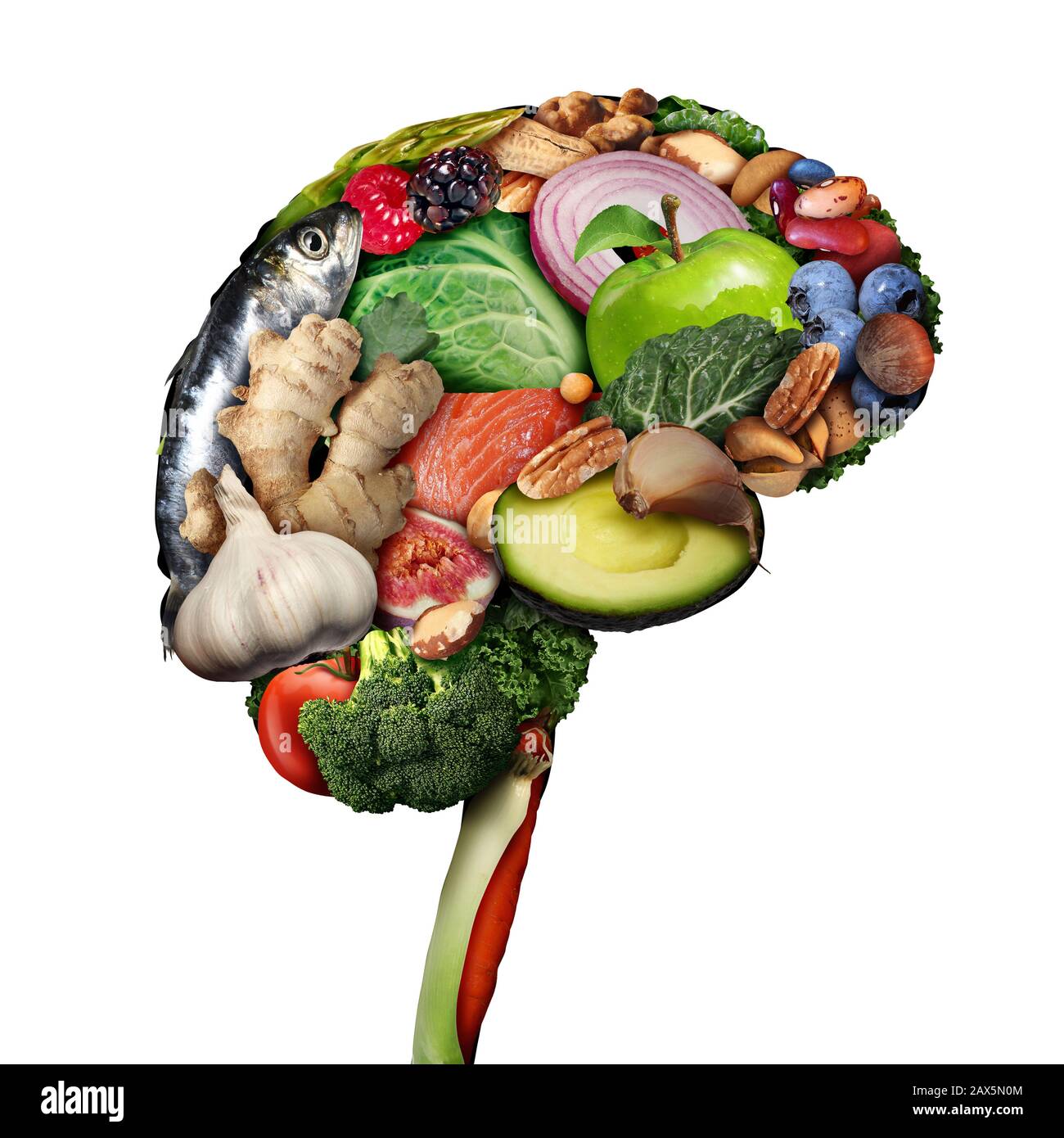 Gesunde Gehirnnahrung zur Förderung des Gehirnkraft-Ernährungskonzepts als eine Gruppe nahrhafter Nüsse Fischgemüse und Beeren, die reich an Omega-3-Fettsäuren sind. Stockfoto