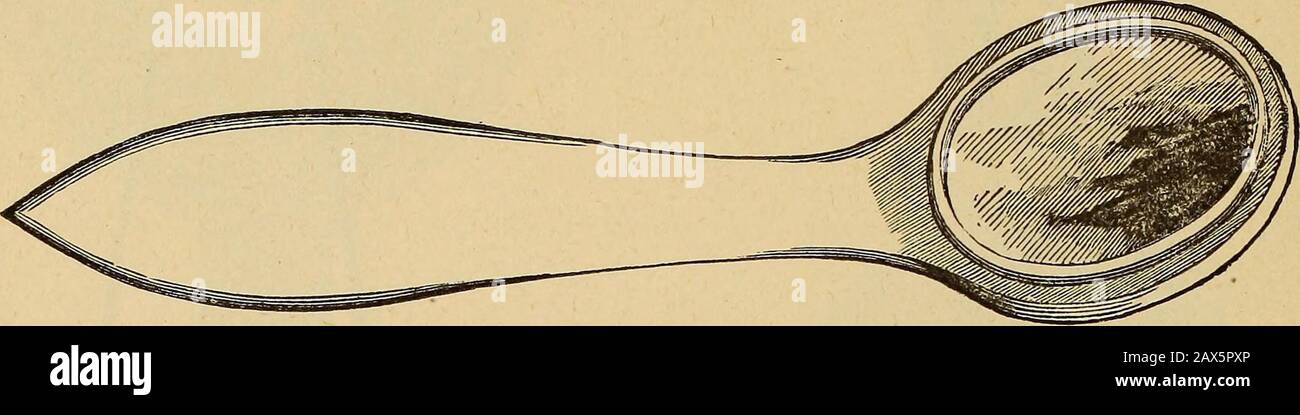 Katalog von zahnmedizinischen Materialien, Möbeln, Instrumenten usw. zum Verkauf . Dieser Schnitt entspricht Nr. lo, halbe Größe. Nr. 4. Runde Lupe, Silberdraht-Welle, Silbermontiert 5. Oval. 6. Rund, klein, in Silber Montiert. . 7. Oval, 8. Rund, einfarbiges Glas, Tasche, Silbermontiert, mit Pearl SlidingCover zum Schutz vor Glas ... 9. Rund, einfarbiges Glas, Tasche, Silbermontage, Juiniert zum Einklappen 10. Sternenmuster, Beidseitig Geschnitzt, Gold Lyre, doppeltes Glas, verbunden, 2 Rosetten 10 J. Sternenmuster, Beidseitig Geschnitzt, Gold Lyre, doppeltes Glas, verbunden, 1 Rosette, jeweils 2,25 US-Dollar und 2,25 US-Dollar Stockfoto