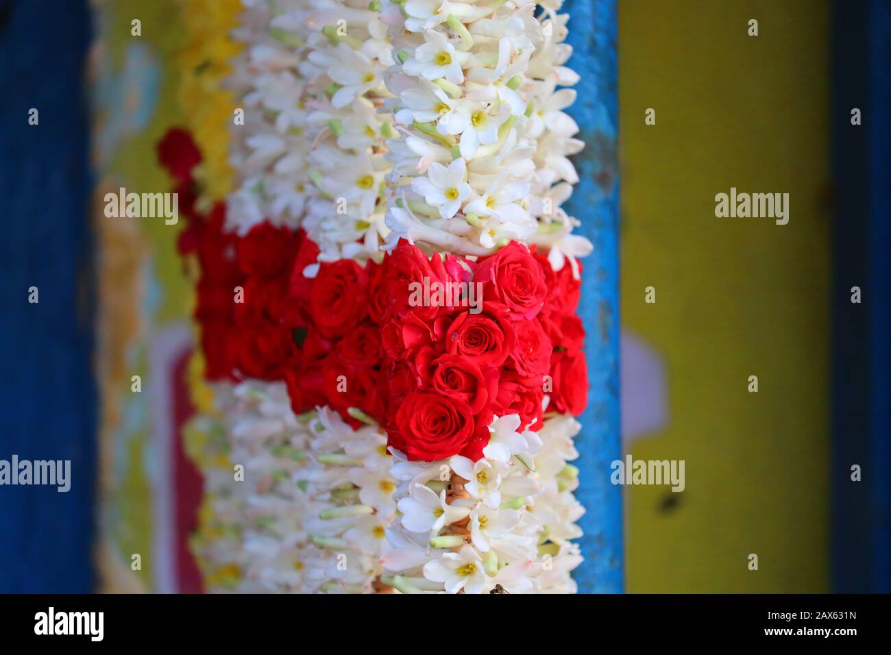 Nahaufnahme von roten Rosen Blumen und weißen Jasinen Blumen garland auf dem Straßenmarkt in der Nähe von gott Tempel des Hindu, Straße Blumen Girlanden Markt Stockfoto