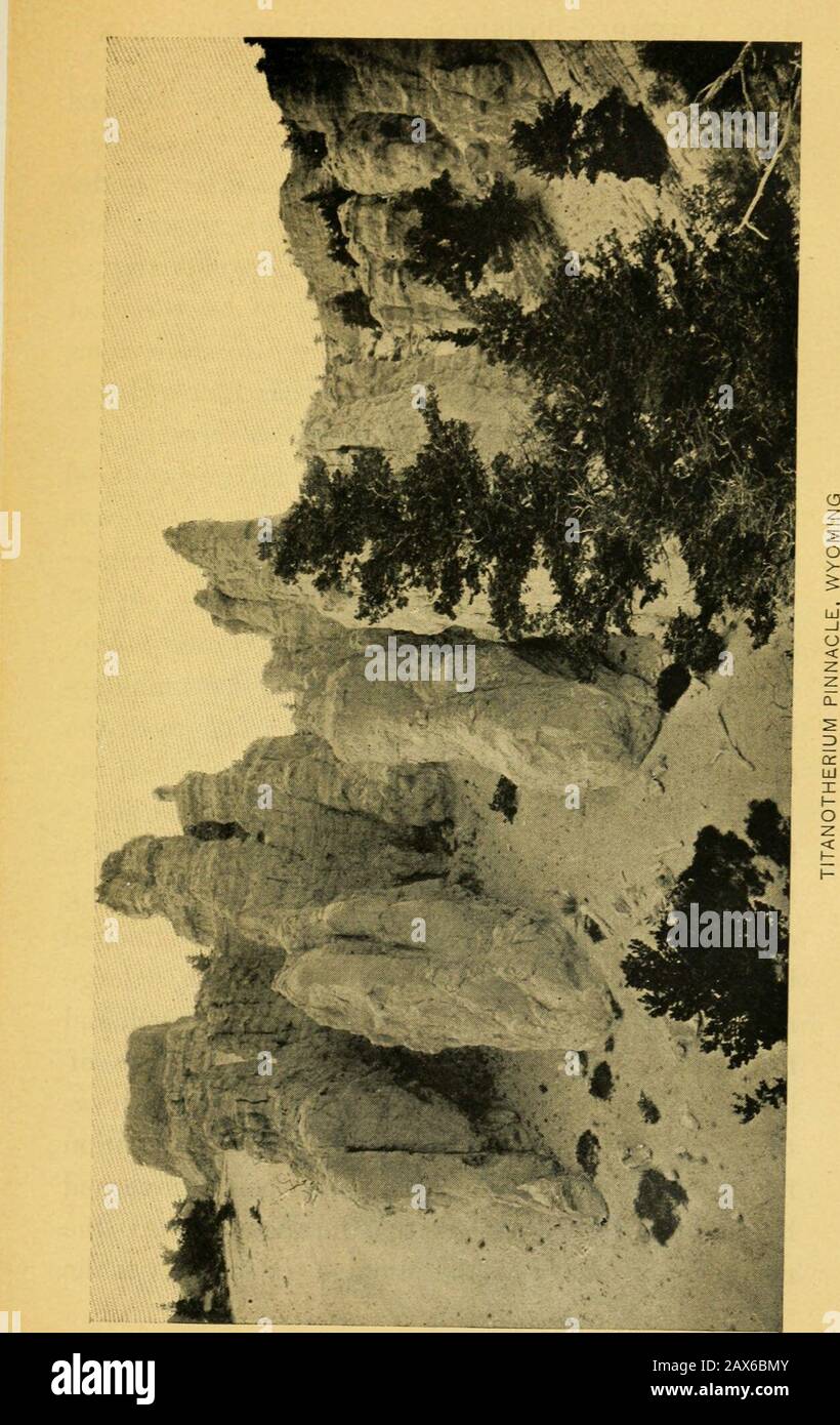 Amerika, malerisch und deskriptiv. Ichigan war ursprünglich mit den besten Wäldern bedeckt, so dass die Holzfälleindustrie eine führende Branche der Menschen war. Der große Teil seiner Kiefernwälder wurde jedoch abgeschnitten, so dass dieser Zweig J abnimmt, aber sein großer Teil harter Wälder hat den Staat zu einem großen Hersteller von Möbeln gemacht, der überall auf dem Land versandt wird. 33 km westlich von Detroit, am TheHuron River, liegt die Stadt Ann Arbor mit einer Popuisierung von fünfzehntausend. Hier sind die Erweiterungsbauten der University of Michigan, der leadingeducational establ Stockfoto