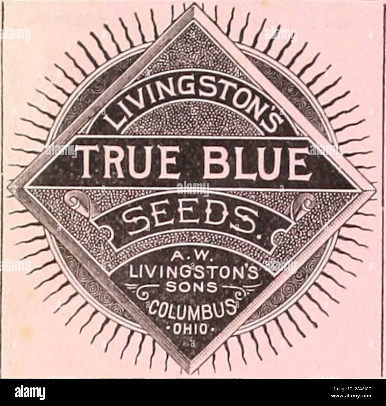 AWLivingstons Sons Seed jährlich. " * 2, 8, 8Mangel Wurzel 21, 22 Martynia 83 Mustard 31 Millets .57 SEITE Verschiedenes Werkzeuge 80 Pilze 83 Muskmelonen 34, 85 verschiedene Samen. 50 Novelty List 1-16 Hafer 66 Zwiebeln Okra Parsnips Peas Petersilie Peppers Pop Corn-Kartoffeln Kürbis-Pflanze CollectionsPlant Betttuch. Radiesh Rhubarb .37, 88, .51, 42, .52, 53, 44, PAGE Rose Collection 78 RutaRaga 51 Star Collections 7s Slug Shot 79 Squash 46, 47 Süßkartoffeln 54 Spinat 46 Salsify 46 Sonnenblume 56 Kleine Gartenwerkzeuge SO Tomaten 48, 49, 50 Tree Seeds 66 Turnip 51 Tuberose 78 Gemüsepflanzen r,l Wa Stockfoto