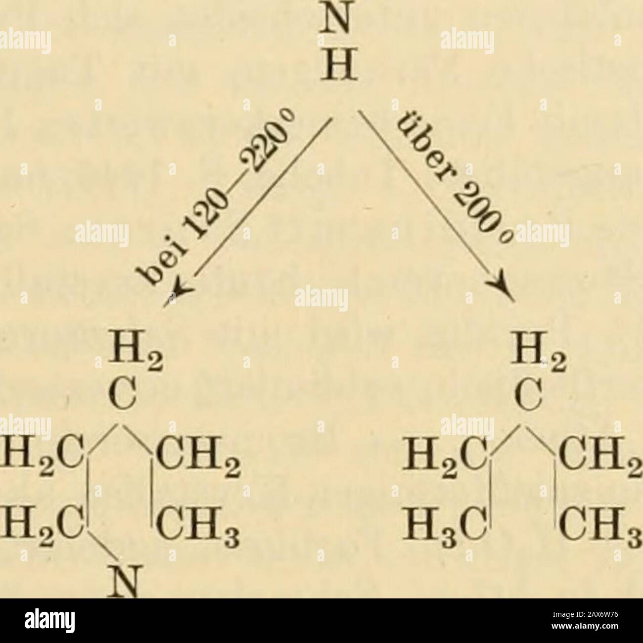 Biochemisches Handlexikon . Friedrich, Compt. Rend. De lAcad. Des Sc. 30, 328 [1900]. 20) Th. Renard u. a. Ph. A. Guye, Journ. De Chim. Phys. 5. 81 [1907]. 21) Guiseppe Bruni, Gazzetta chimica ital. 38, 259 [1898]. 22) G. Carrara, Gazzetta chimica ital. 34 (I), 278 [1894]. 23) G. Carrara u. a. M. G. Levi, Gazzetta chimica ital. 33 (II), 36 [1902]. 24) M. G. Levi u. a. M. Voghera, Gazzetta chimica ital. 35 (I), 277 [1905]. 25) James Wallace Walker. Douglas Mc. Intosh u. a. Ebenezer Archibald, Journ.Chem. Soc. 85, 1098 [1904/05]. Heterocyclische Verbindungen. 1425 chcinischc eificnschaftliche ni von Misclmiigcn von Stockfoto