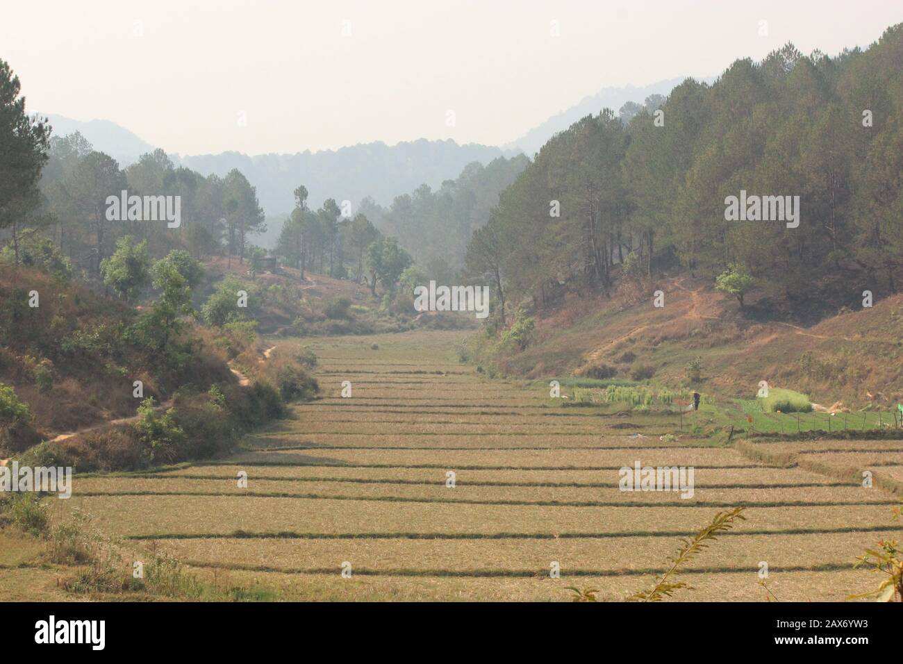 Schöne Landschaft von Bauernhöfen und Hügeln in Kalaw Stockfoto