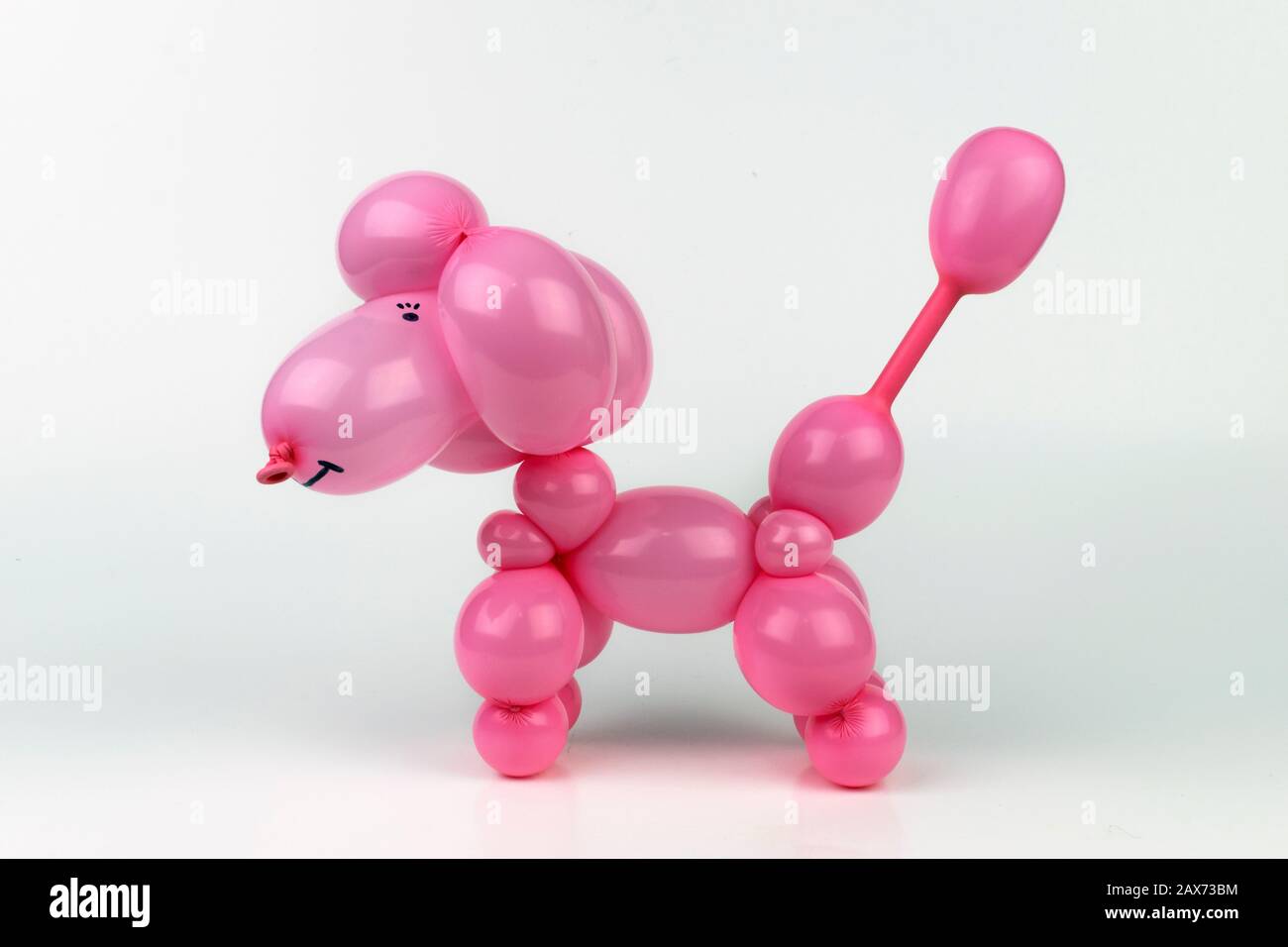 Ein süßer Ballon verdreht pinkfarbenen Pudelhund, der durch Verdrehen von Blasen in einen Latexballon von einem Ballonkünstler gemacht wird oder sich bei einer Geburtstagsparty oder einem anderen Spei klaut Stockfoto