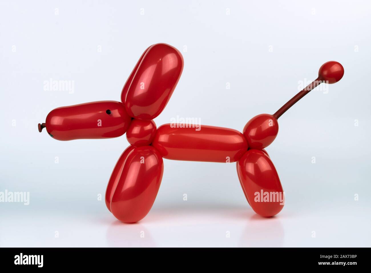 Lustiger Hund aus dem roten Ballon, der mit der Kunst des Ballonverdrehens wie ein Ballonkünstler auf einer Kindergeburtstagsfeier gemacht wurde. Stockfoto
