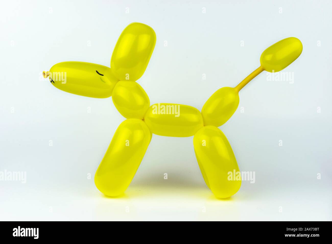 Lustiger gelber Ballontier-Welpen-Hund, der mit der Kunst des Ballonverdrehens wie ein Ballonkünstler auf einer Kindergeburtstagsfeier gemacht wurde. Stockfoto
