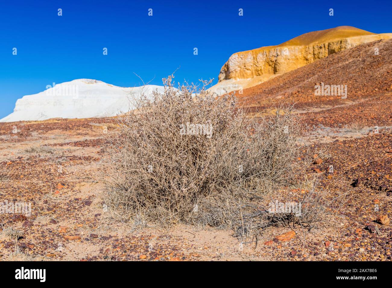 Die Breakaways sind eines der Outback-Juwelen von South Australia. Sie sind eine markante felsige Landschaft mit flachen Mesas. In der Nähe von Coober Pedy. Stockfoto