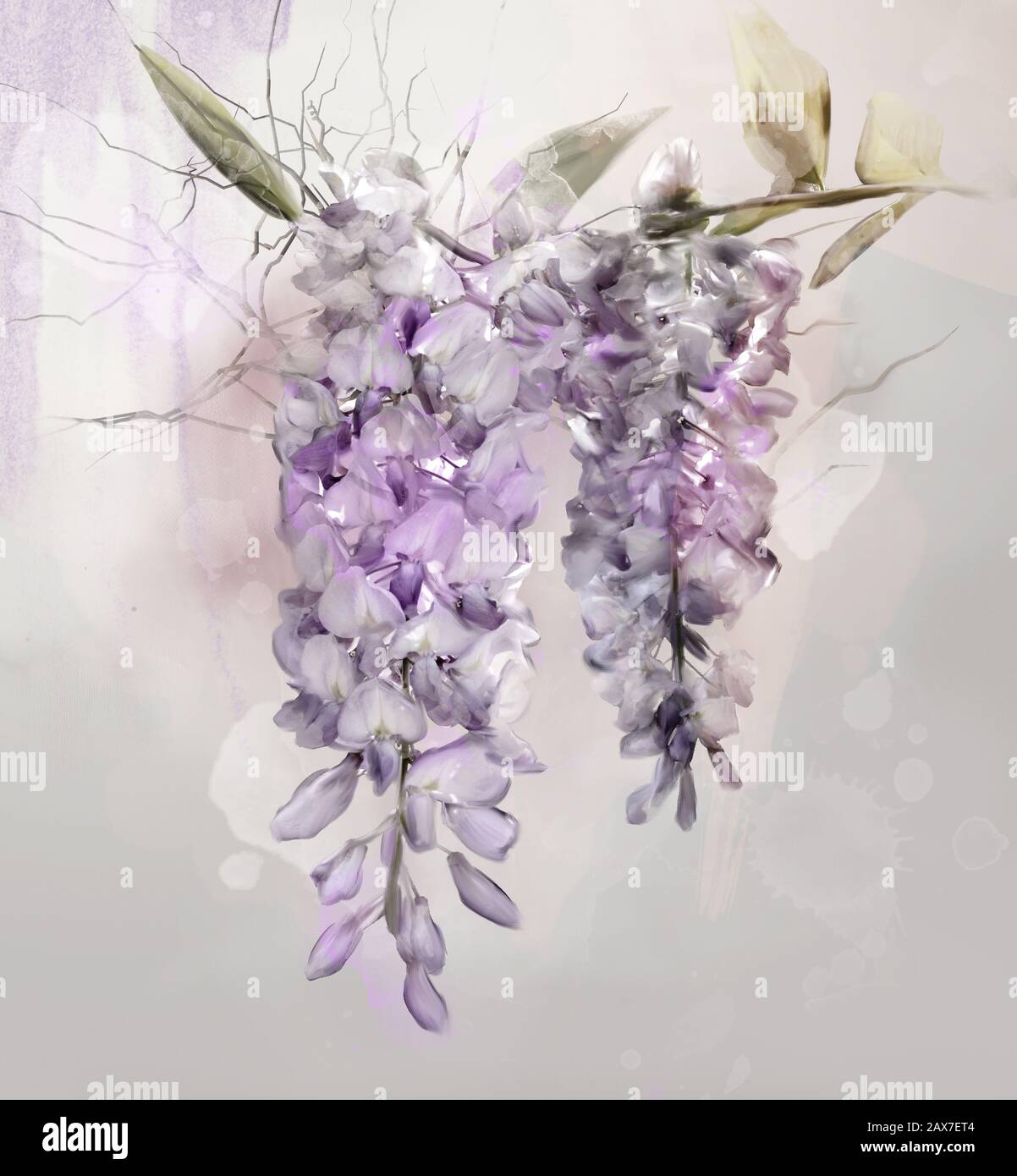 Frühlings- und Sommerblumenauswahl - Digitale Wisteria mit Aquarellfarbe Stockfoto