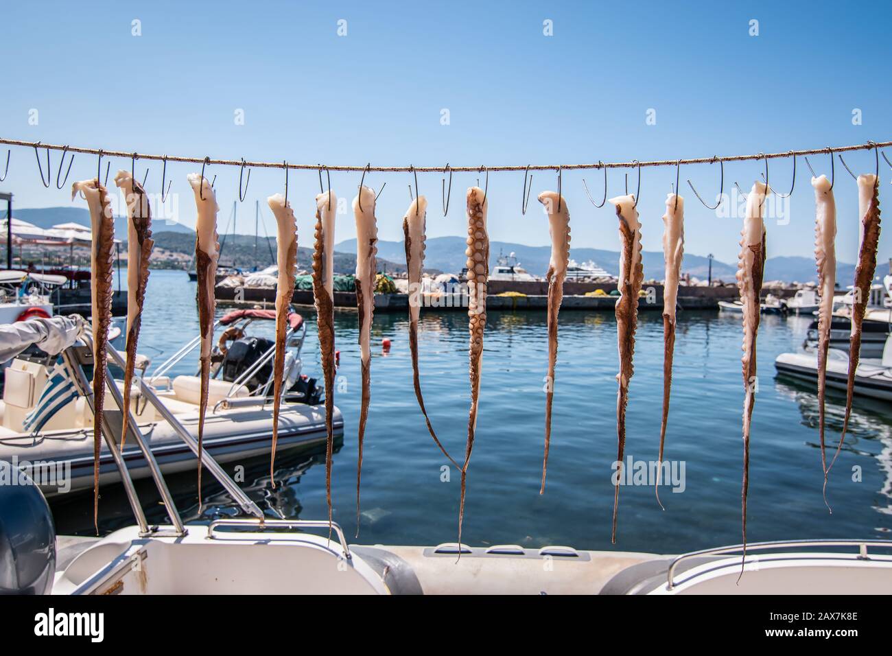 Frische Oktopus-Tentakel, die auf einem Draht in der Sonne im Hafen von Molyvos, Insel Lesbos, Griechenland trocknen. Stockfoto