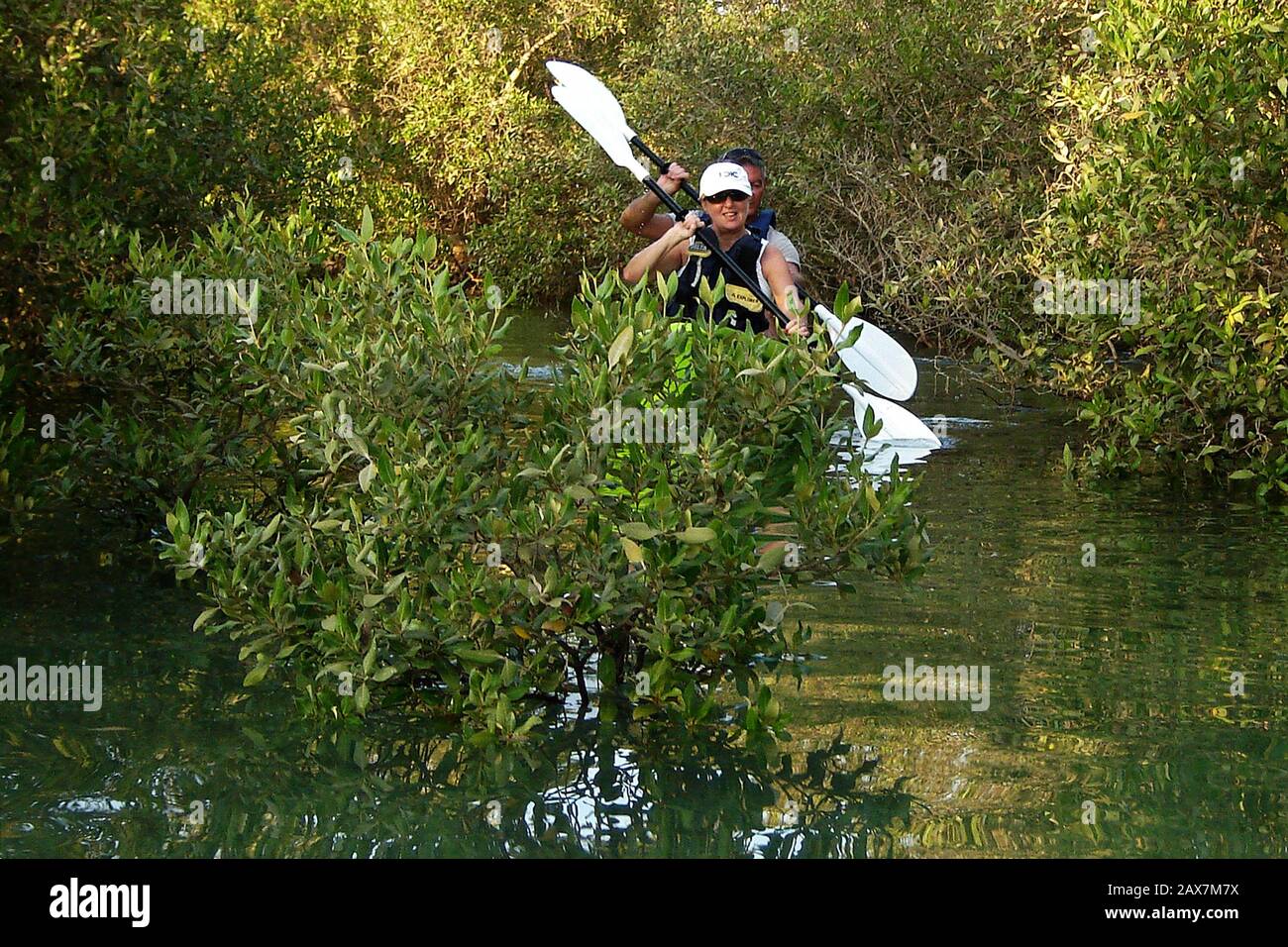 Ein Paar paddelt während einer Tour durch die Abu Dhabi Mangroves in Abu Dhabi, VAE, durch ein Labyrinth von Mangroven und Kanälen. Stockfoto