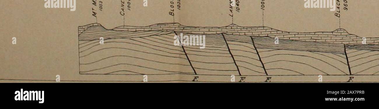 Die Vierteljahreszeitschrift der Geological Society of London. 0 ^ yd. Horizontale Skala: 1 Zoll = 1 Meile. Vertikale Skala: 1 Zoll = 1.330 Fuß. ?&GT; VOL. S^.] DIE KORALLENFELSEN VON BARBADOS. 337 Petroleum, und wird von stark bituminösen Sandsteinen, Tonen, Schalenfrüchten und Grütze unterlagert. Diese liegen unbeirbar in weiten Falten auf Schlafenseelden der Lower Scotland Group. Die Fossilien, die von Herrn G. F. Franks und mir gesammelt wurden, sind alle oligozänen Arten. (3) Die Oceanic Series. Dies wurde von Herrn Jukes-Browne und mir selbst im Quarterly Journal dieser Gesellschaft vom Mai 1892, Bd. xlviii, S. beschrieben Stockfoto