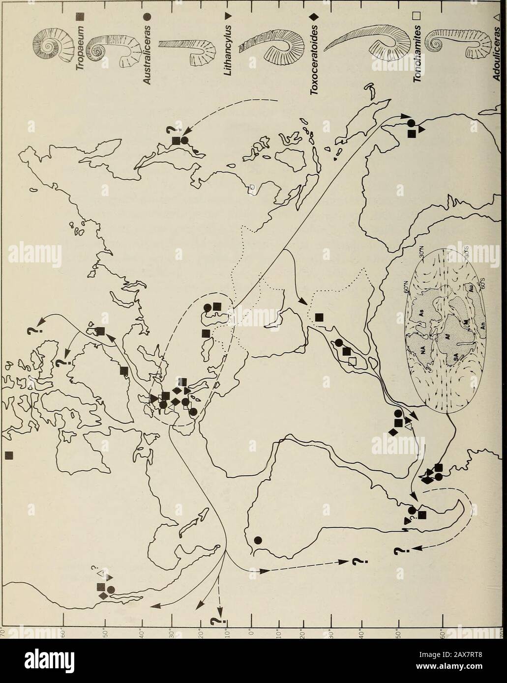 Annalen des südafrikanischen Museums = Annale van die Suid-Afrikaanse Museum. Abb. 88. A-C Nahtlinien von Helicancyloceras {Helicancyloceras) Vohimaranitraensis (Collignon, 1962) aus nicht nummerierten Fragmenten, x 6. D. Nahtlinie der Tonohamiten aequicingulatus (von Koenen, 1902). SAS Z8/Tal X 6. 354 ANNALEN DES SÜDAFRIKANISCHEN MUSEUMS. KREIDEFAUNEN AUS SÜDAFRIKA 355, die in der Region von Ostwest-Großbritannien bis östlich des Kaspischen Meeres zu finden sind, und aktuelle Belege deuten darauf hin, dass dies das Quellgebiet der Gruppe ist, Genera, die von dort in andere Teile der Welt während der frühen Zeit wandern Stockfoto