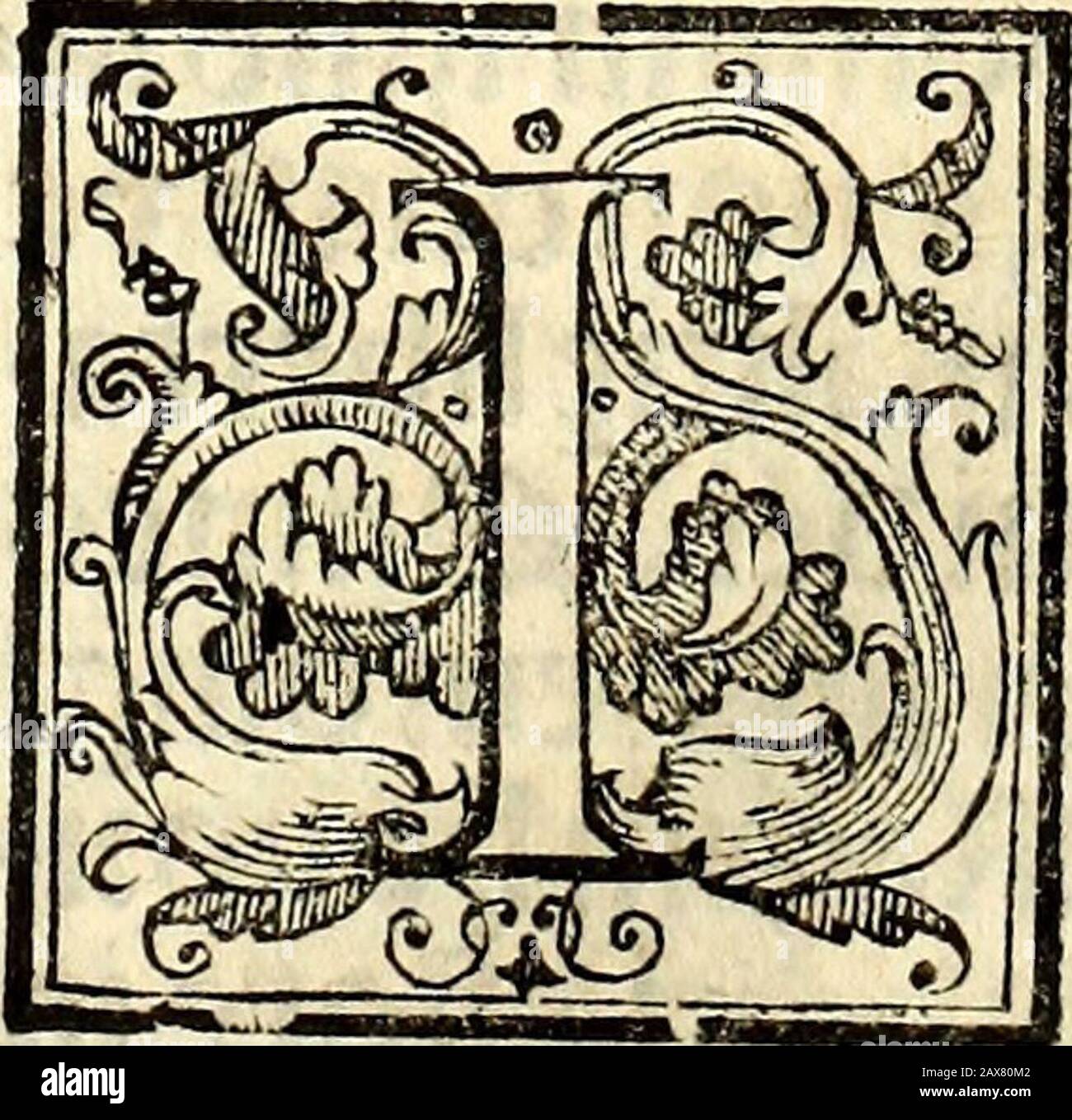 Missale Romanum es decreto sacrosancti Concilii tridentini restitutum, Pii VPontMaxiussu edum . er? Ego agnofco patre:?anima mca pono p ouib9 meis â¦Cf altasouee l?ai?eo,q non funtejr l?oc ouili: % tilae opo:tet meadducerc? Voci MEA audient:?fiet vuni oule % vnua pafto: â¦Clredo^ft DcueDeueme^ Pfajadre oe luce vtgilo:? In noie tuo %t *leuabo manue mea?,AUA* secr# * BiEnedicftonern nobie oo * Mine conferat falutare^ ib&glef;cra femp oblatio: VI quod agtfmyftcrato,virrureperficiat * TJ>er.QDua Dfifi:fifi *# ^:fufi;fufi â¢*#:fufi *^ Stockfoto