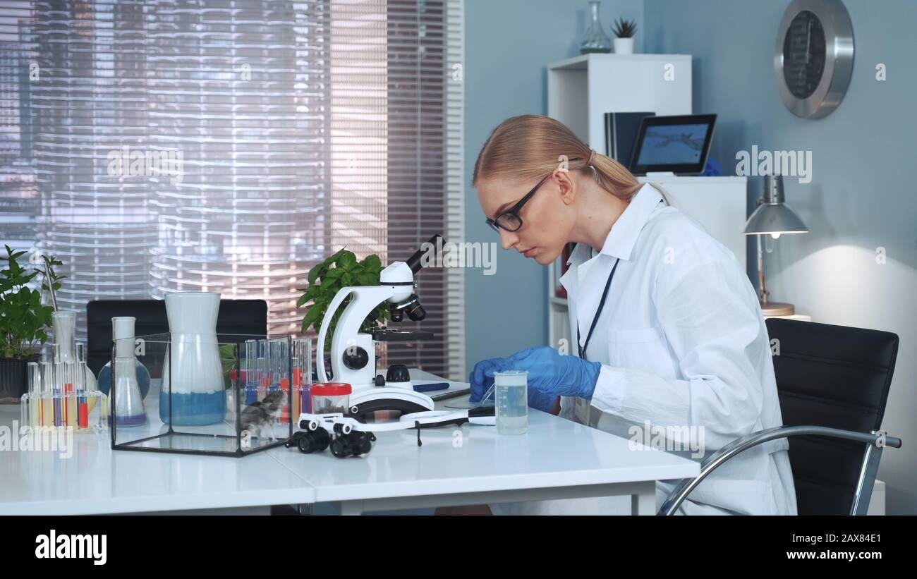 Wissenschaftlerin, die im Chemielabor mit organischen Materialien experimentiert, indem sie mit Pipette Dünger auf die Pflanze fallen lässt Stockfoto