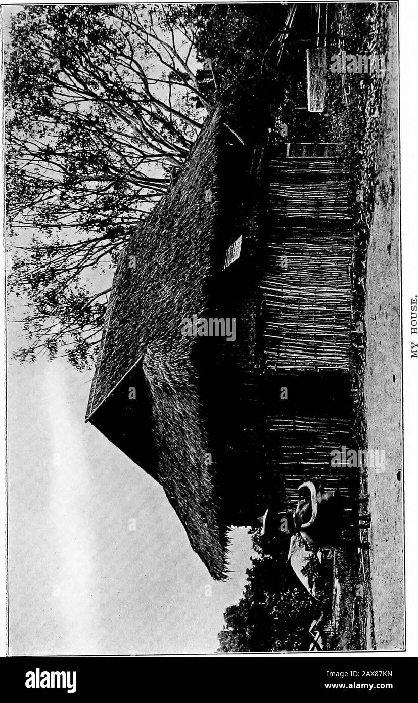Many Schwarzweiß-Stockfotos und -bilder - Seite 380 - Alamy