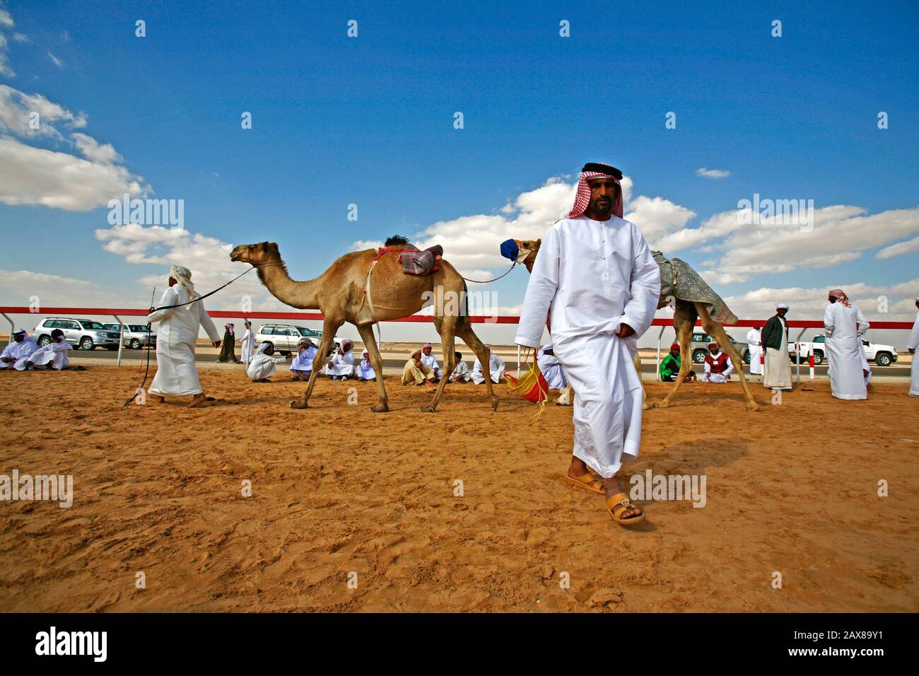 Kamelrennen in Dubai, VAE. Stockfoto