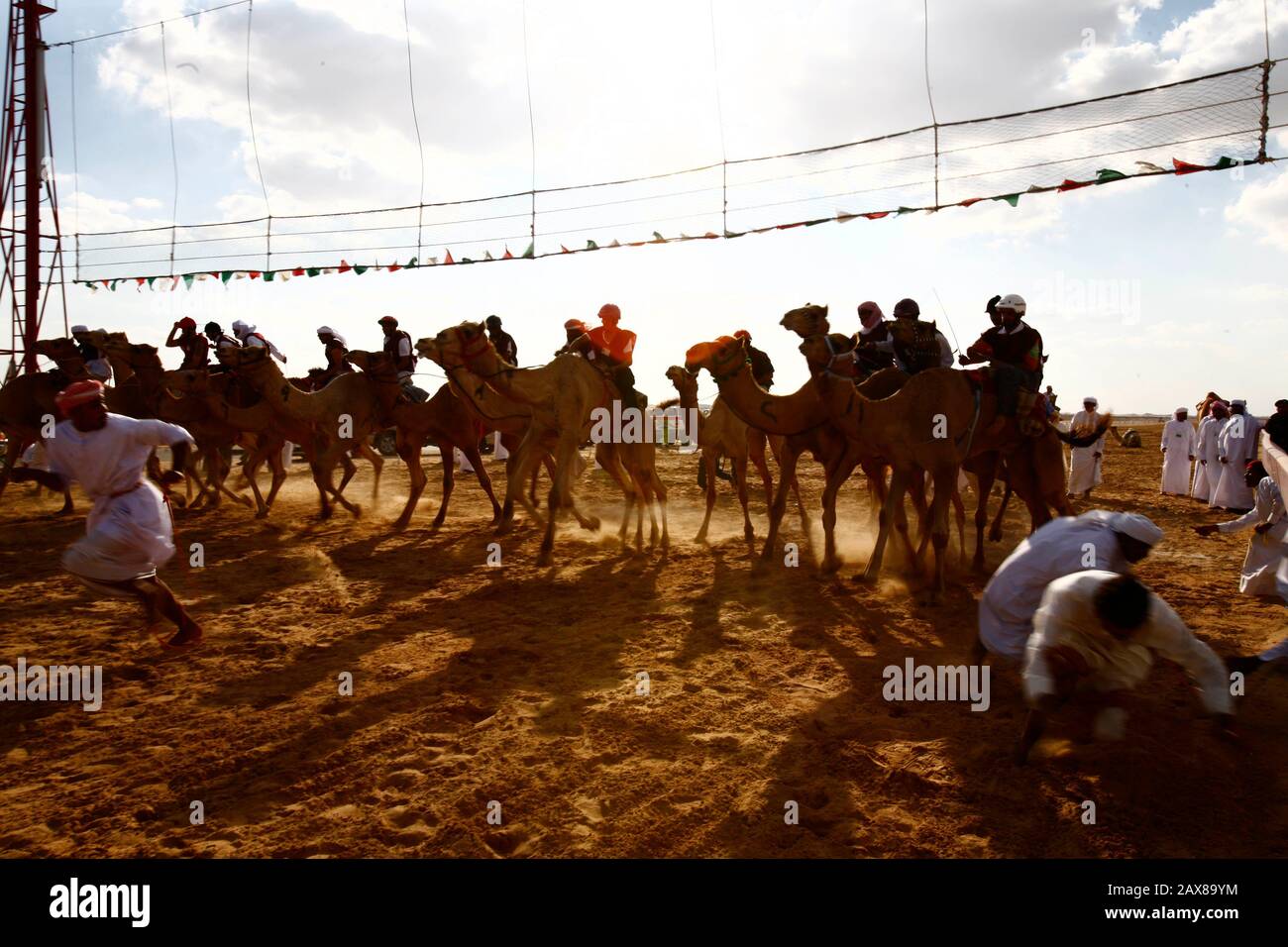 Kamelrennen in Dubai, VAE. Stockfoto