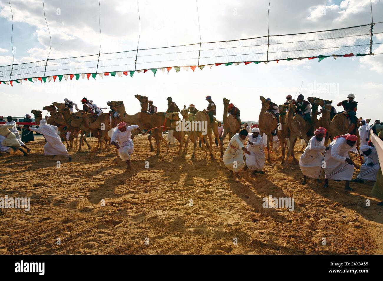 Kamelrennen in Dubai, VAE. Stockfoto