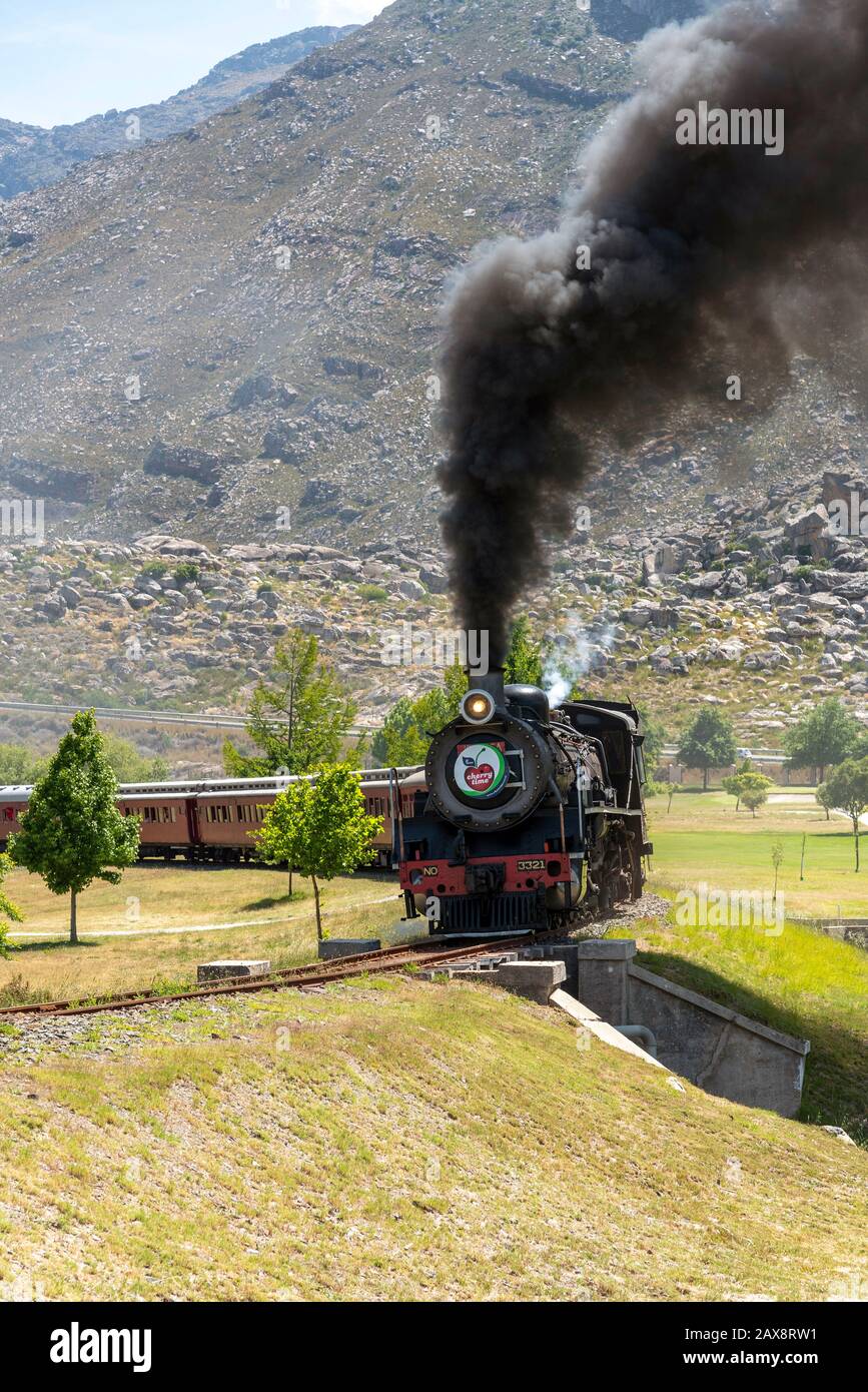 Ceres, Westkaper, Südafrika. 2019. Dampfmaschine, die Reisebusse auf dem jährlichen Ausflug zum Cherry Festival auf dem Golfplatz Ceres transportiert. Stockfoto