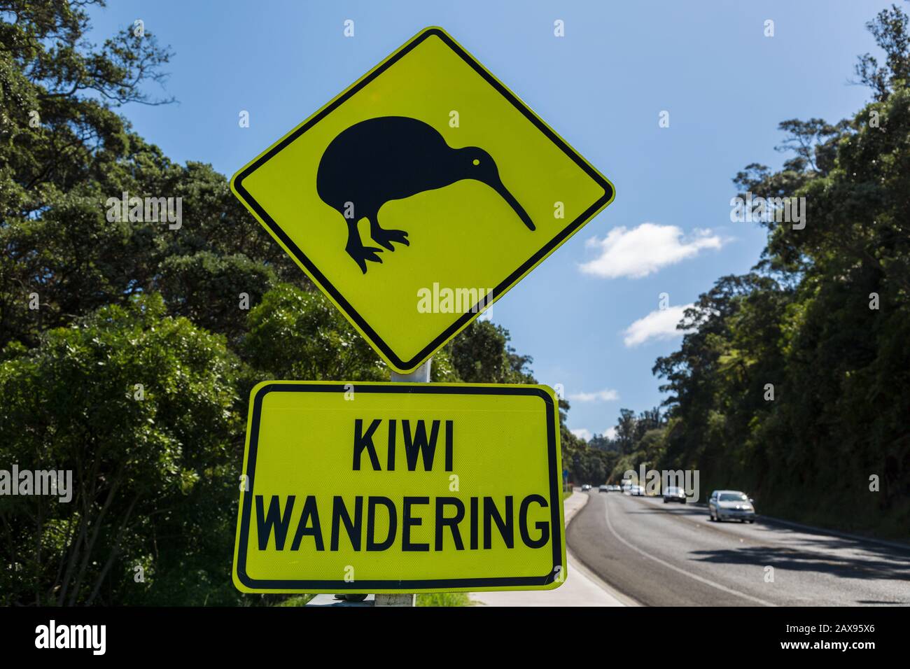 Kiwi Warnung Road Sign, Whakatane, Nordinsel, Neuseeland Stockfoto