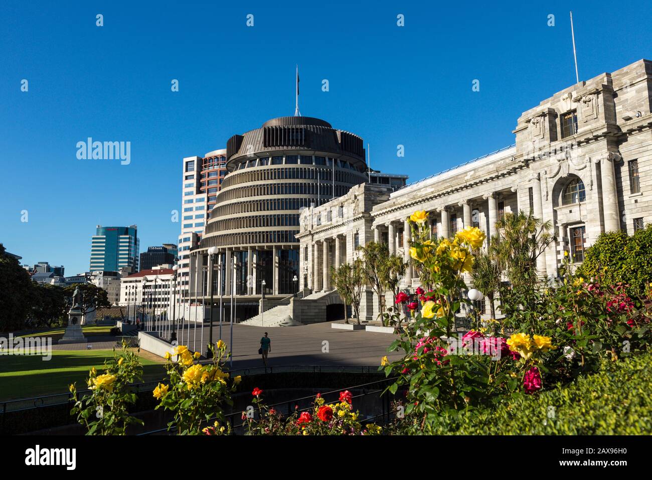 Beehive Parliament Building, Wellington, Neuseeland, Blumen Stockfoto