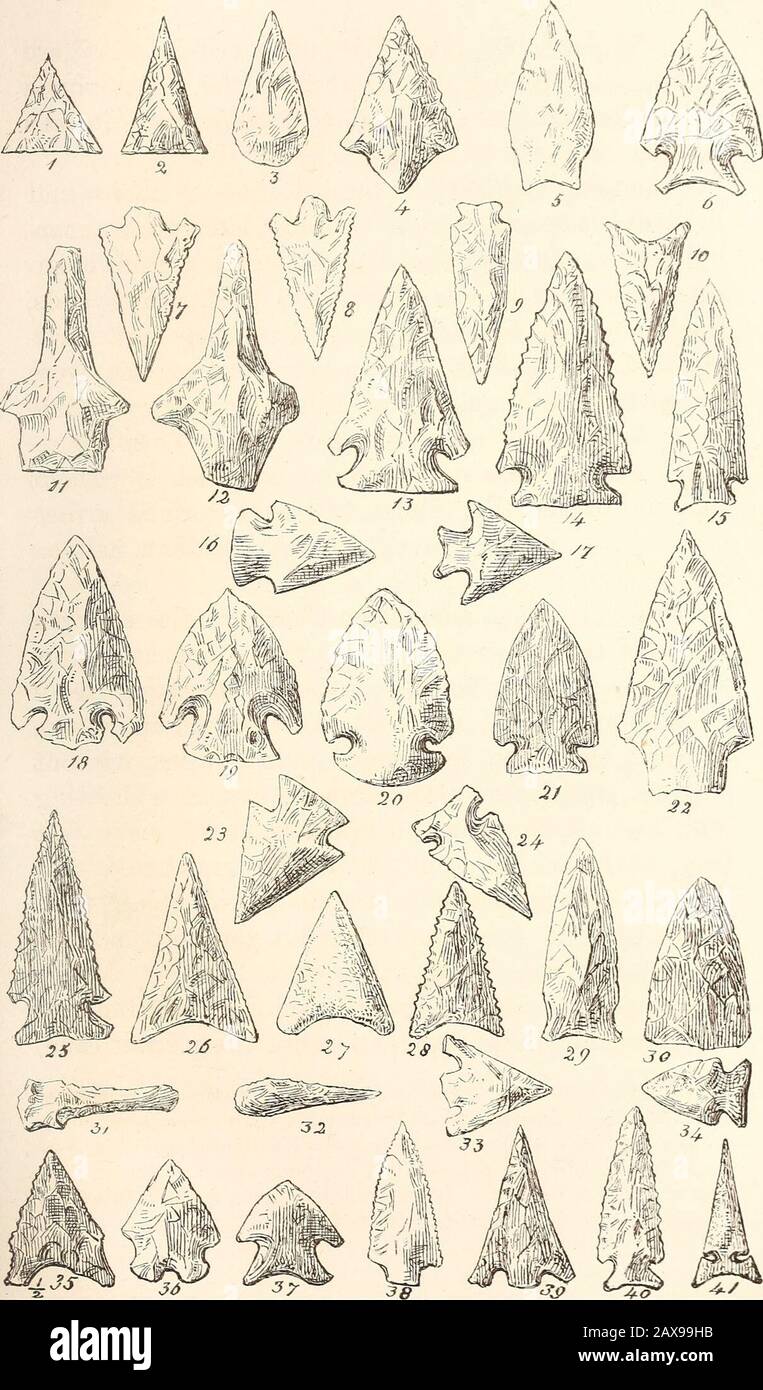 Antiquitäten der Südindianer, insbesondere der Georgienstämme. O nennt ihn einen Lehrwahn; so werden sie durch Emulation gebildet, ohne körperliche Bestrafung; Sie sind sehr gut in der Schießerei mit einem Instrument aus Schilf, etwa sieben feetlong, in das sie einen kleinen Pfeil, gefiedert mit der Wolle einer Distel, und, wenn sie auf ein Objekt, theyblow in die Röhre, und oft das Ziel, Und fre-quently töten kleine Vögel damit.2 Kapitän Römer, in der Rede von den gleichen Indianern, schreibt: Die jungen Wilden benutzen auch ein sehr strapages Rohr, 1 Leutnant Timberlake, in seinen Memoiren (S. 4 Stockfoto