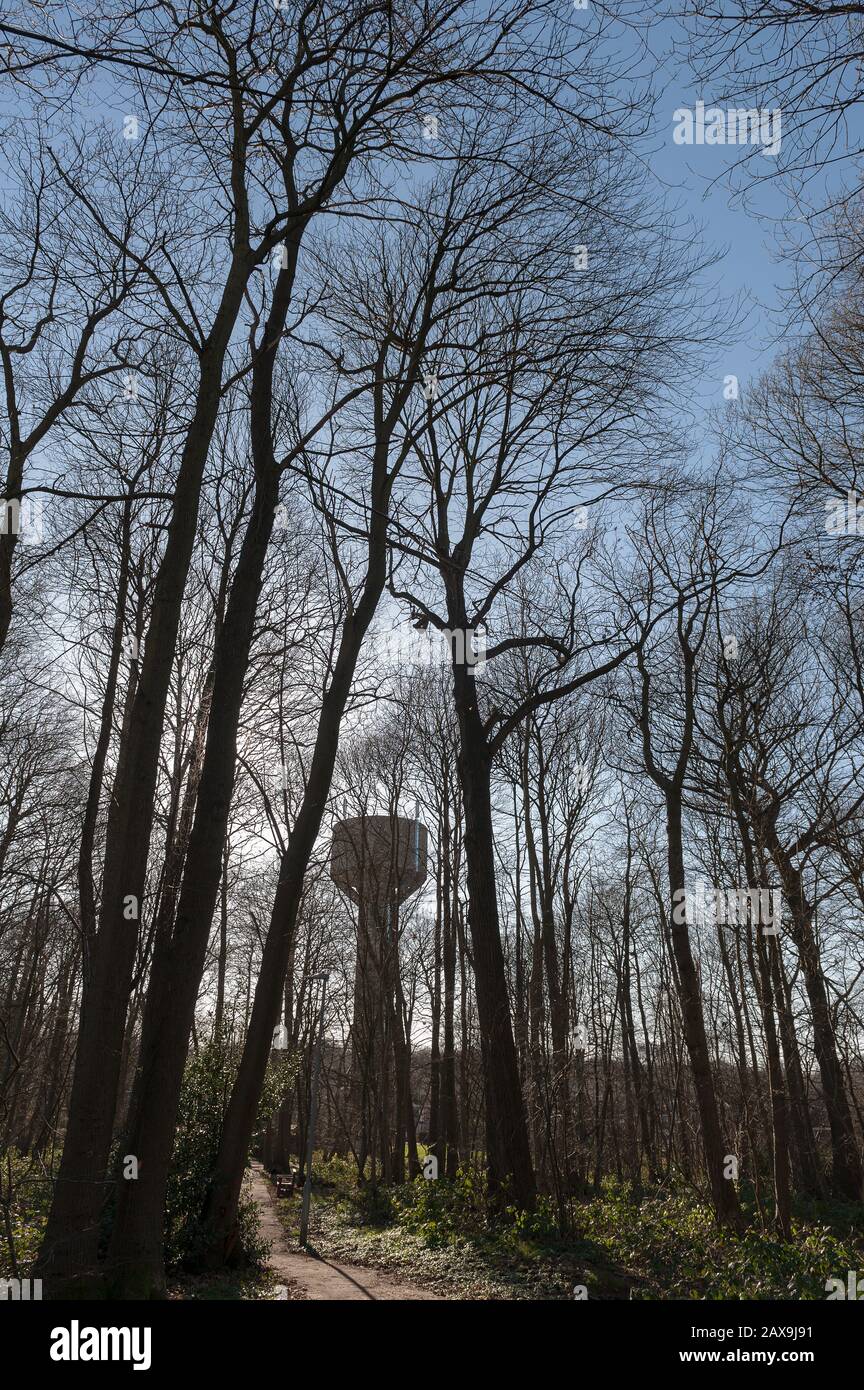 Der hohe Betonwasserturm oben im Norden von Downs, Vigo Village, bietet Druck- und Trinkwasserversorgung und überragt Baumgrenze wie Alien Stockfoto