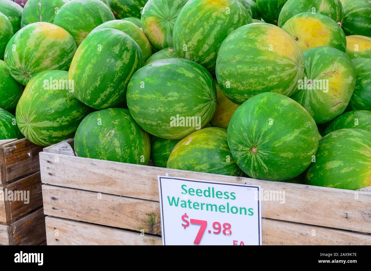 Seedless Wassermelonen in Holzkiste mit Preisschild auf dem Farmer Market in den USA Stockfoto