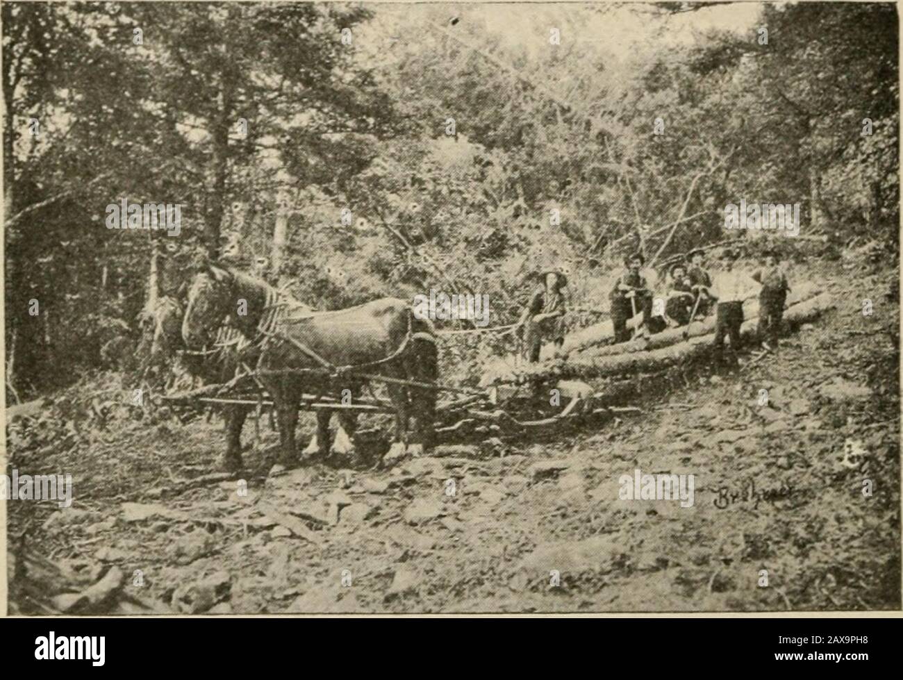 Ein Textbuch der Geographie, Geschichte, Verfassung und Zivilregierung von Vermont; auch Verfassung und Zivilregierung der USA., eine Publikation, die ausdrücklich bereit ist, die Staatsschulgesetze von Vermont einzuhalten. Gipfel des Mount Mansfield, der von der Nasenseite nach Nordosten Blickt, Um den so dicken Schönheitssatz zu erfassen. Die höchsten Gipfel dieser Strecke sind von Norden nach Süden Jay, Belvidere, Sterling, Mansfield, Camels Hump, Lincoin, Pico, Killington, Shrewsbury, Stratton und Haystack. 26 Geografie des Vermont Mount Mansfield mit seiner Höhe von 4.389 Fuß ist der höchste Berg im Stockfoto