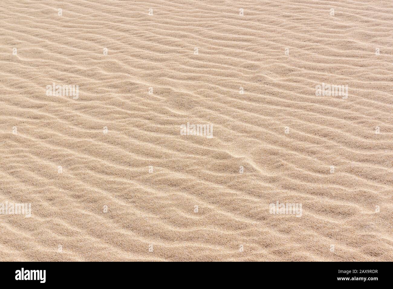 Nahaufnahme auf der zerknitterten Oberfläche der Sanddüne Stockfoto