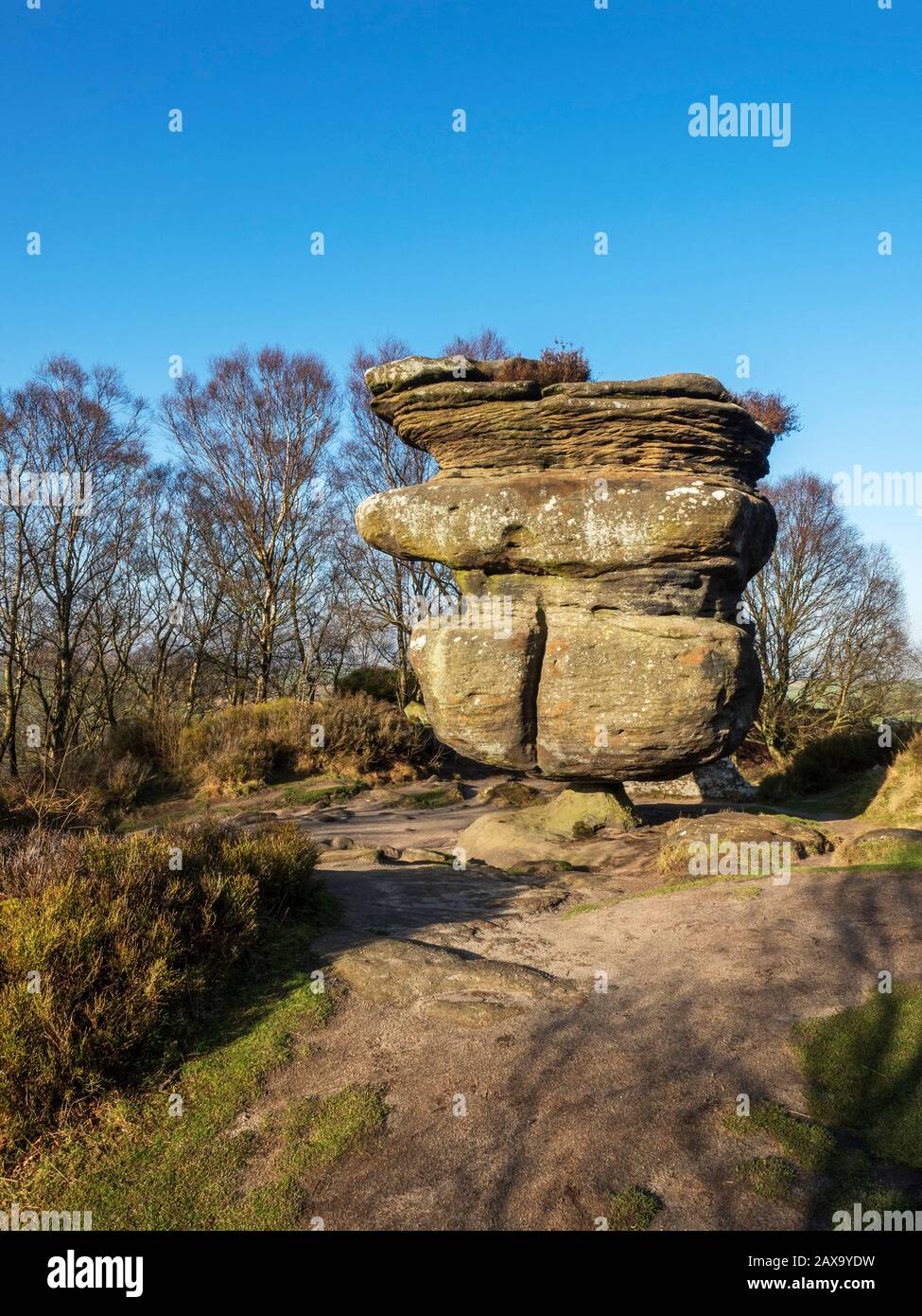 Idol Rock Gritstone Rock Formation bei Brimham Rocks Brimham Moor Nidderdale AONB North Yorkshire England Stockfoto