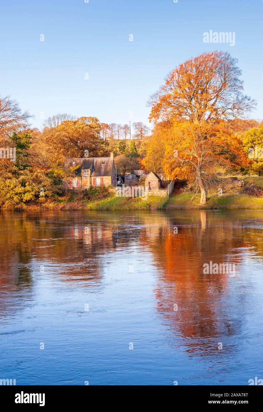 Blick vom Tyne Green of Autumn Farbe auf Bäume rund um ein altes Cottage am Ufer des Flusses Tyne bei Hexham in Northumberland North East England Stockfoto