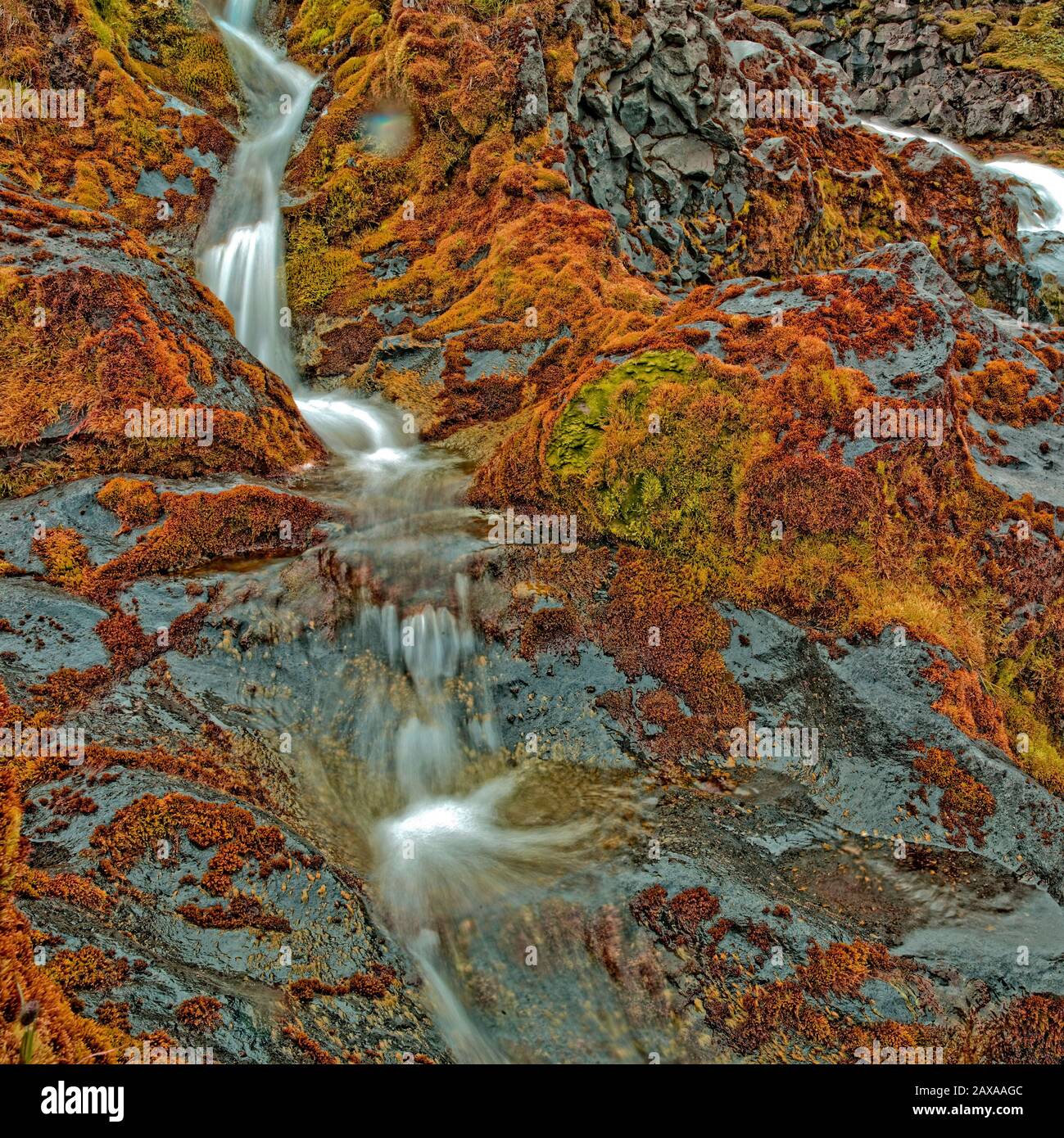 Wasserfälle - Trinkwasser und Moos, Island Stockfoto