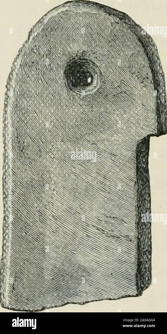 Alte schottische See-Behausungen oder -Kröpfchen : mit einem zusätzlichen Kapitel über die Überreste von See-Behausungen in England . - gleichartige Arbeitsgeräte, auch wenn an den Enden von ein oder zwei davon leichte Pfund-Markierungen beobachtet wurden, weil sie überall so glatt und glänzend waren, dass sie eher zum Polieren oder 170 ALTE SCHOTTISCHE SEE-BEHAUSUNGEN verwendet wurden. Glätten von weichem Material als als Hammersteinen, Dabei geht es auch um eine ähnliche Anzahl flacher Polierer, varyingmuch sowohl in Größe als auch Form, von denen einer triangularlyförmig ist wie ein modernes Glätteisen. Er misst 5 Zoll Stockfoto
