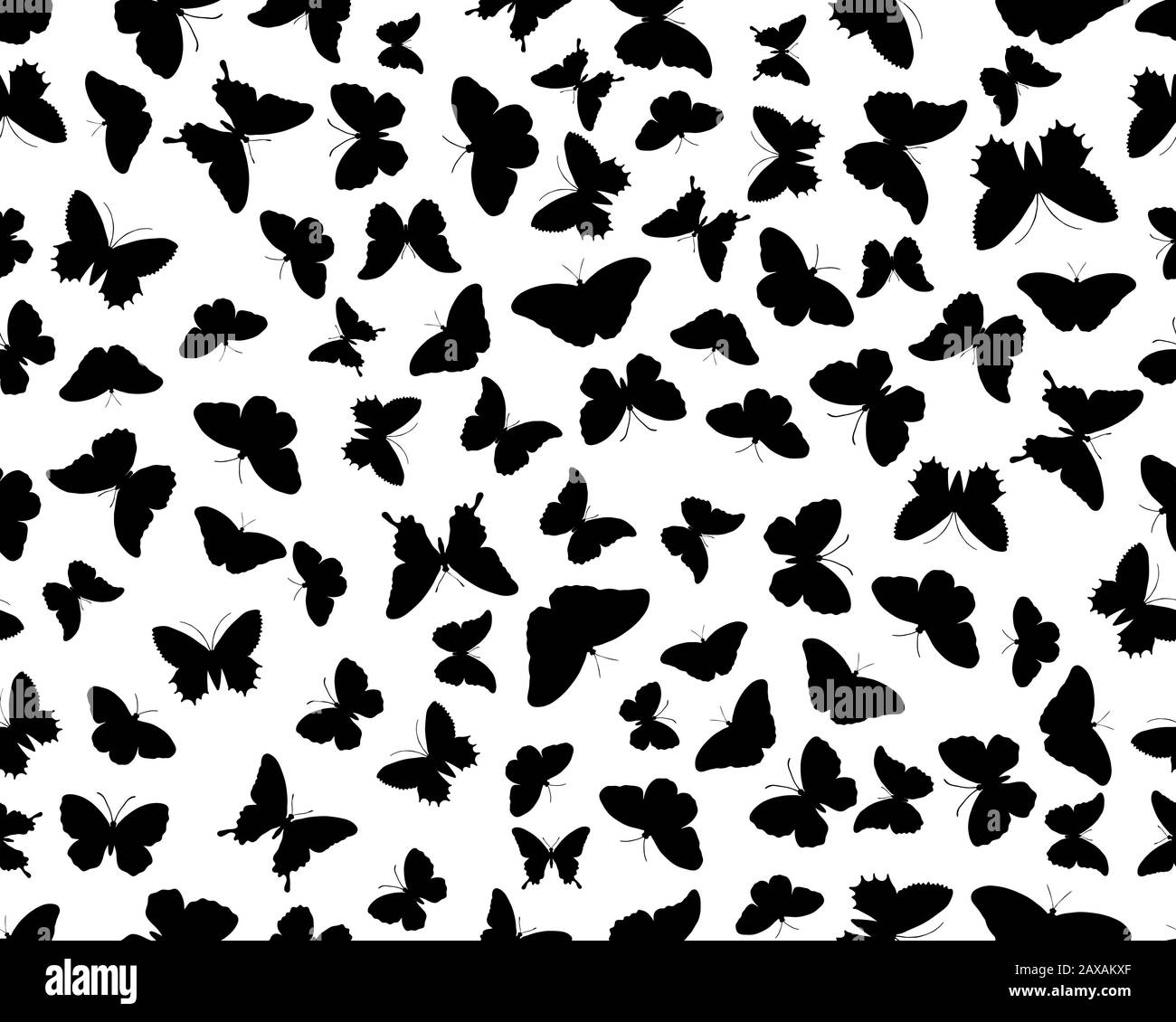 Nahtloses Muster mit schwarzen Silhouetten von Schmetterlingen auf weißem Hintergrund Nahtloses Muster mit schwarzen Silhouetten von Schmetterlingen auf weißem Hintergrund Stockfoto