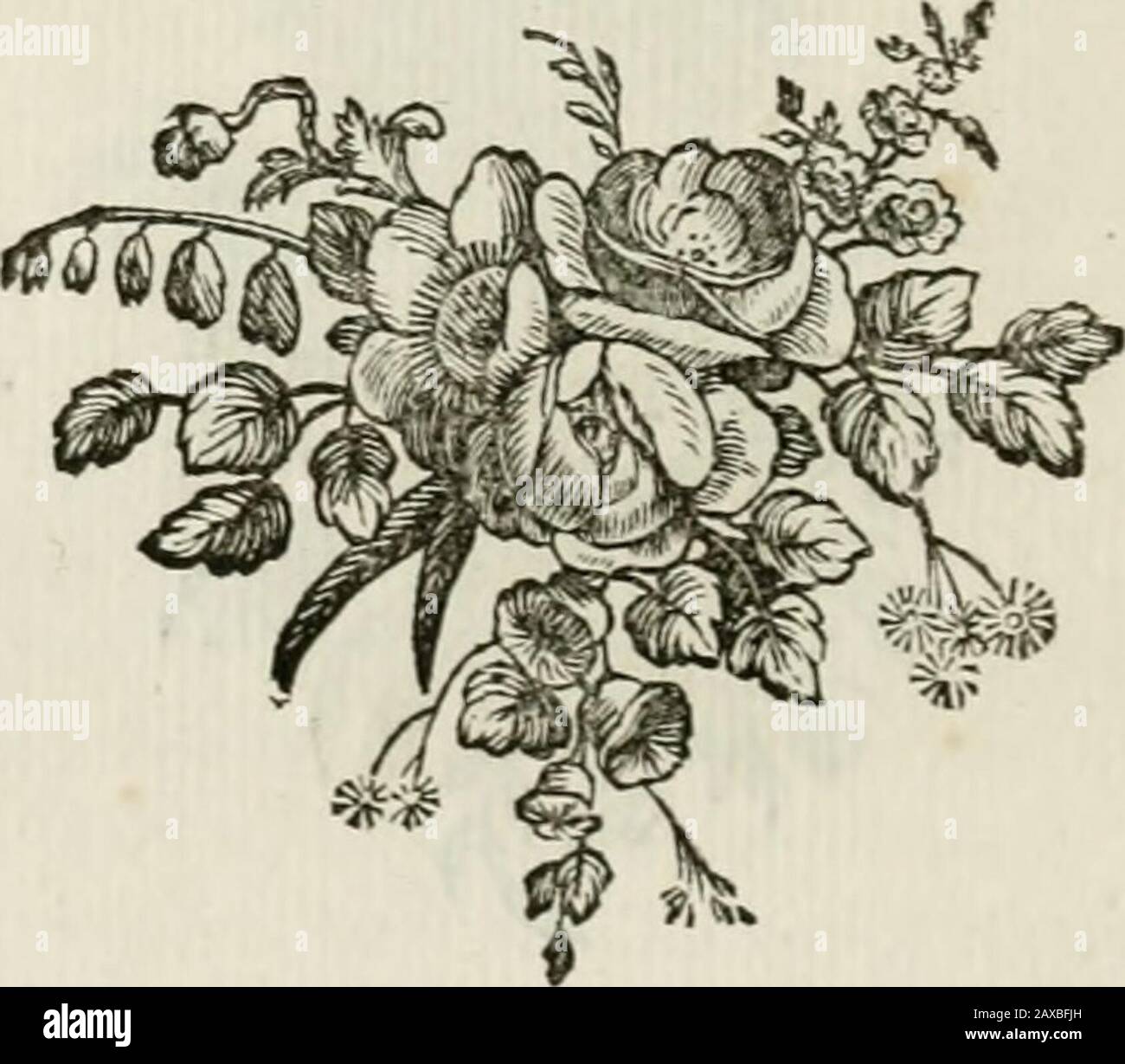 Les Metamorphoses d'Ovide : en latin et en françois. 2^0 METAMORPHOSEON. LIB. X. FABULA II Venus & Adonis in cefpitem, OED Labour infolitus Jam me laflavit; & ecceOpportuna fuà blanditur populus uir.brâ,Datque torum cefpes. Libet hac lequiefcere tecum, Et requievit humo: Preflltque & gramen, & ipfum,Inque finu juvenis pofitâ Cervice, rendensSic ait; ac mediis interferit ofcula verbis. Fable Lie Stockfoto