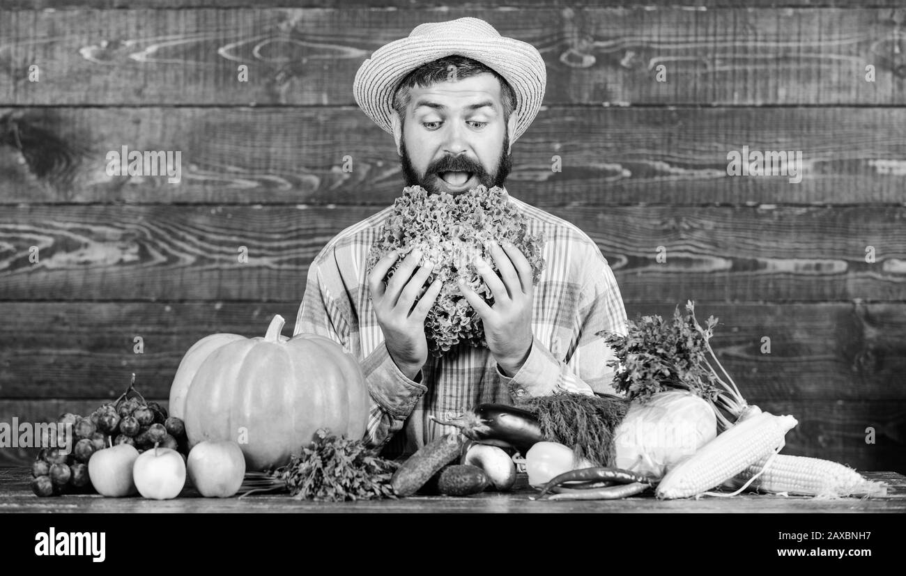 Neugierig Landwirt. bärtigen reife Landwirt. Harvest Festival. man-Chef mit reichen Herbst Ernte. organische und natürliche Lebensmittel. happy halloween. saisonale Vitamin essen. Nützliche Obst und Gemüse. Stockfoto