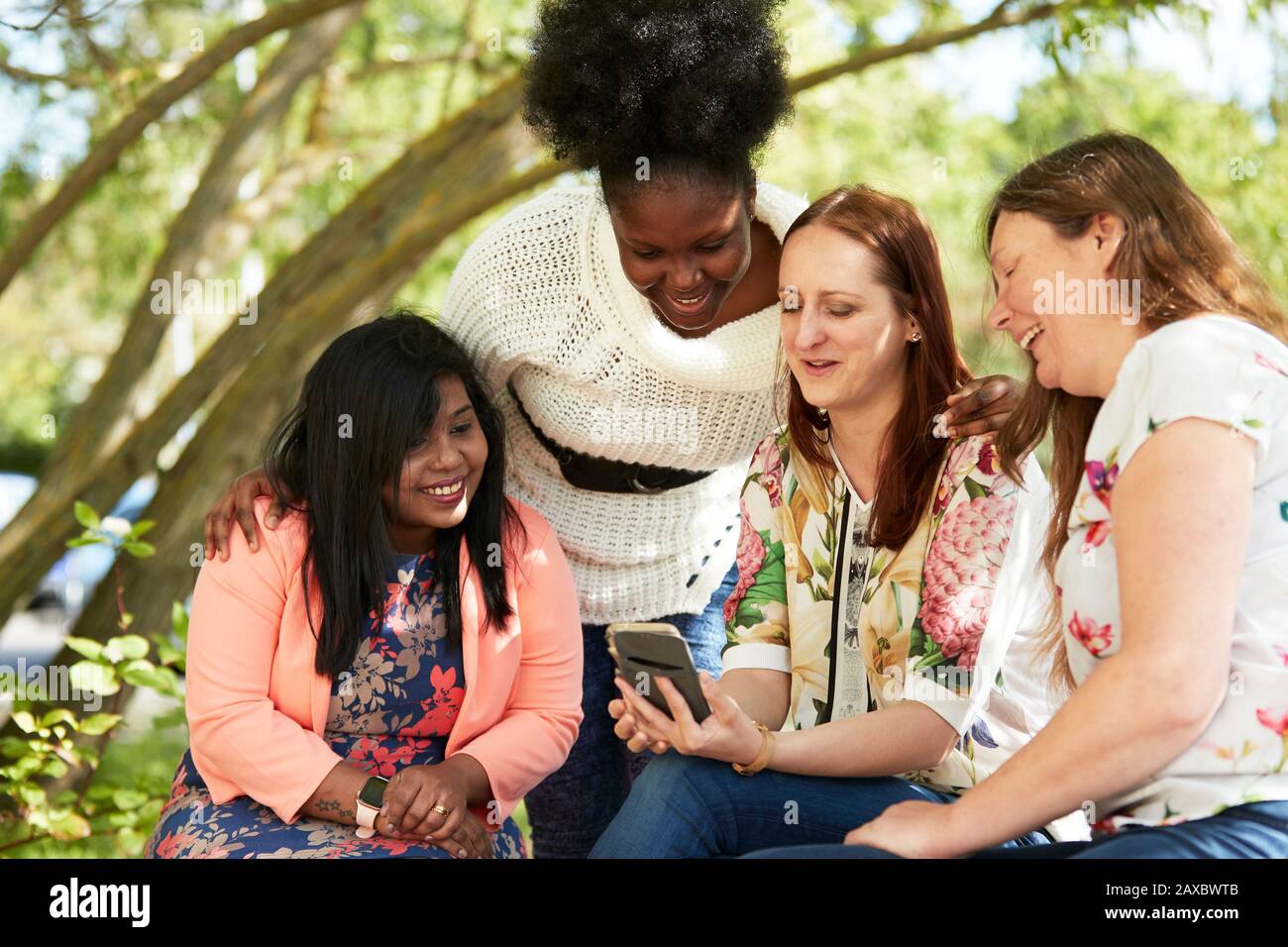Weibliche Freunde, die im Park ein Smartphone verwenden Stockfoto